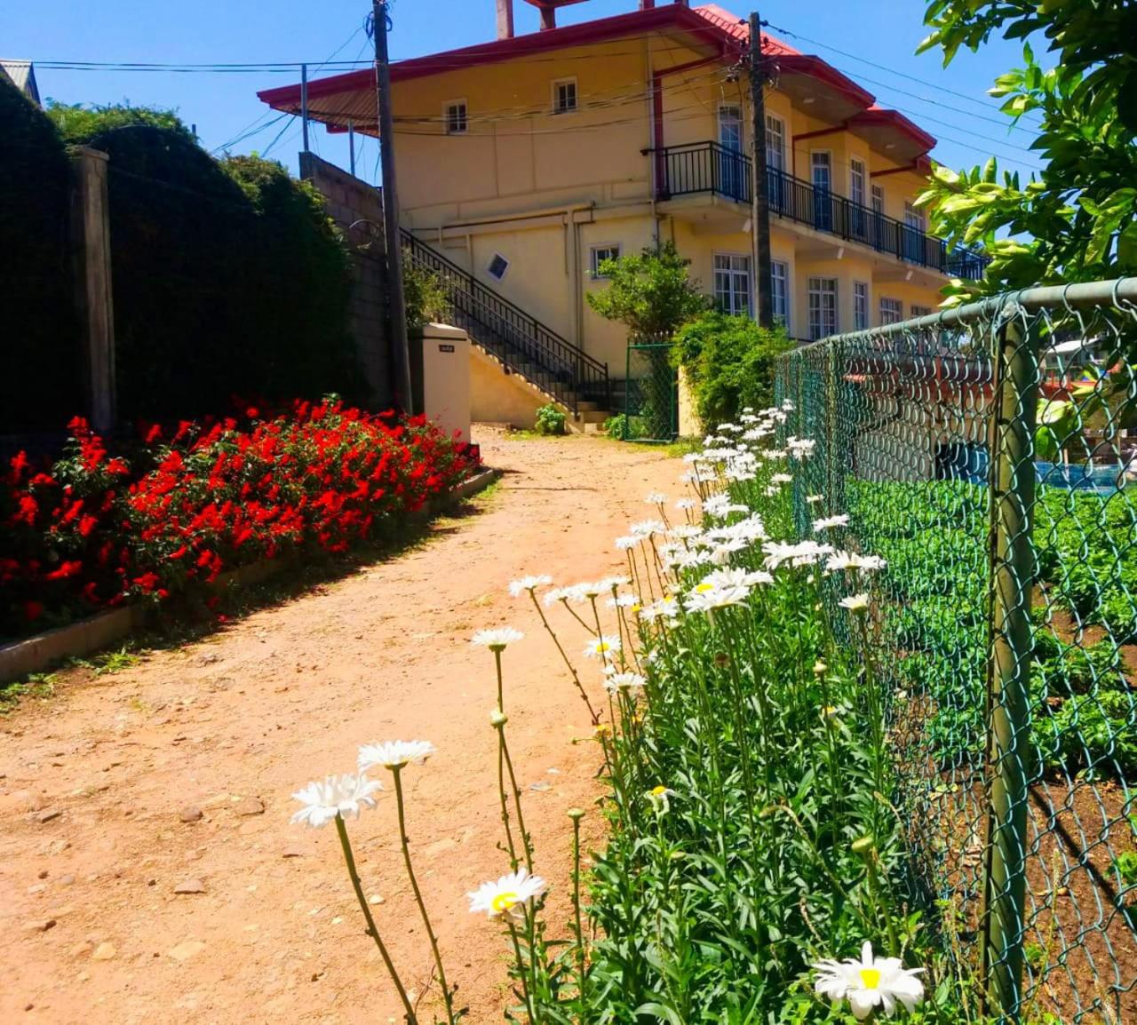 Shevyhaws