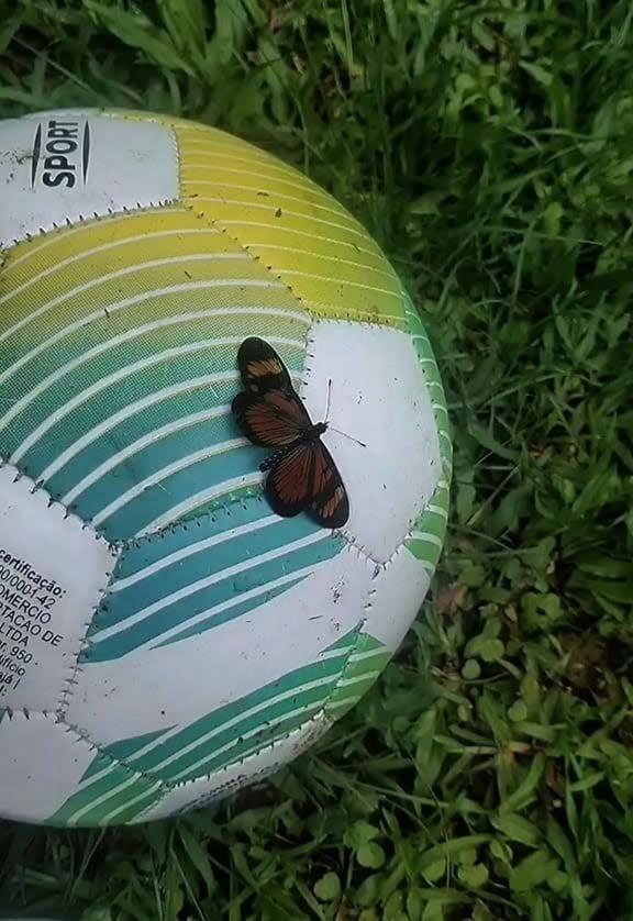 Mangaratiba Lazer e paz na Mata Atlântica