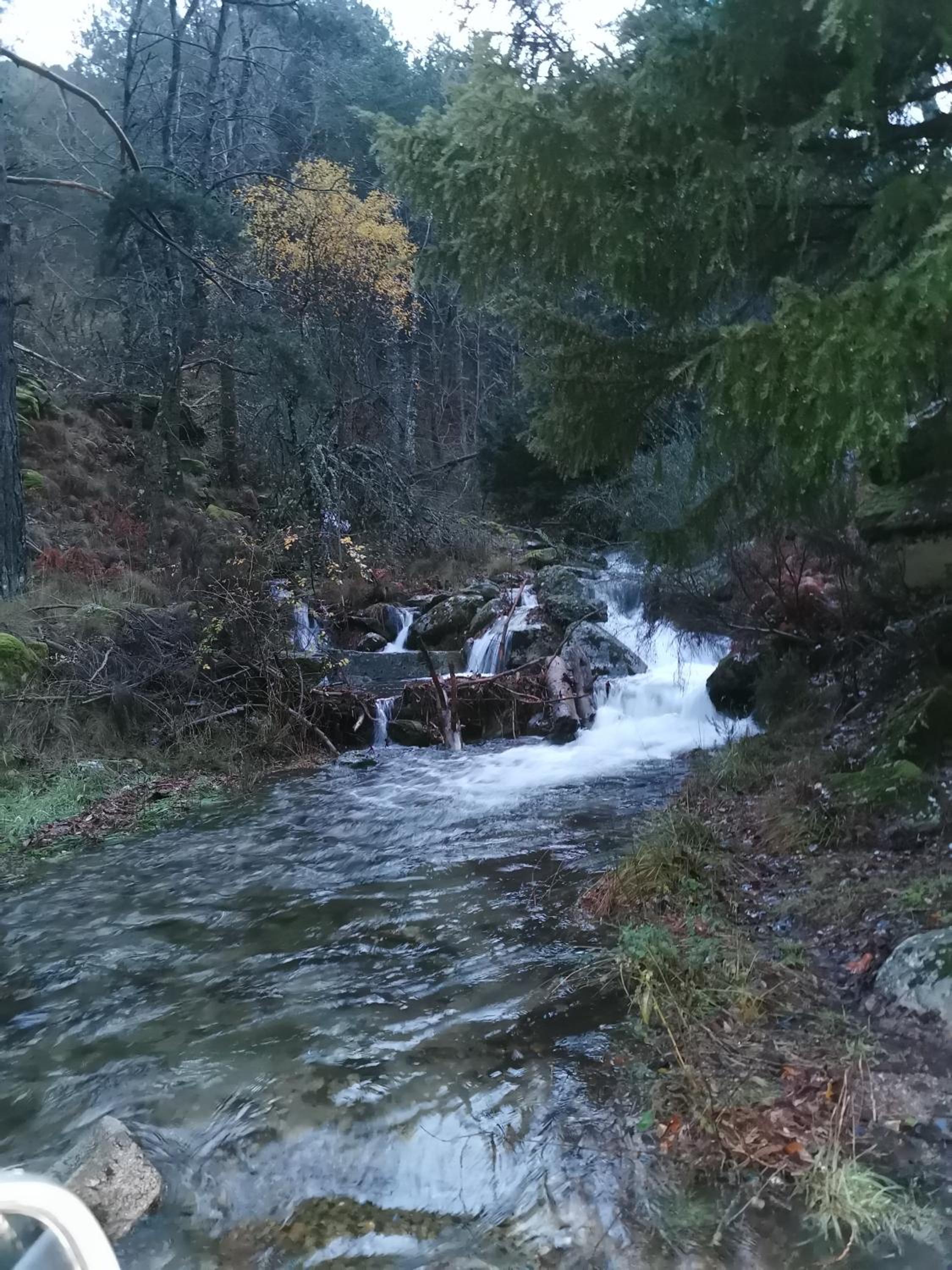 El Cauce