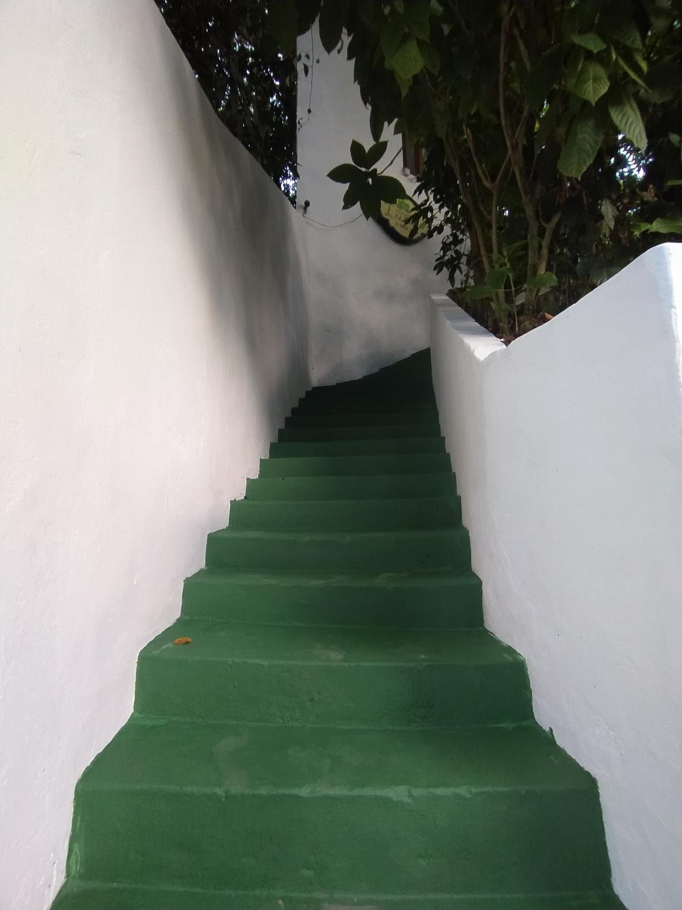 Photo 40