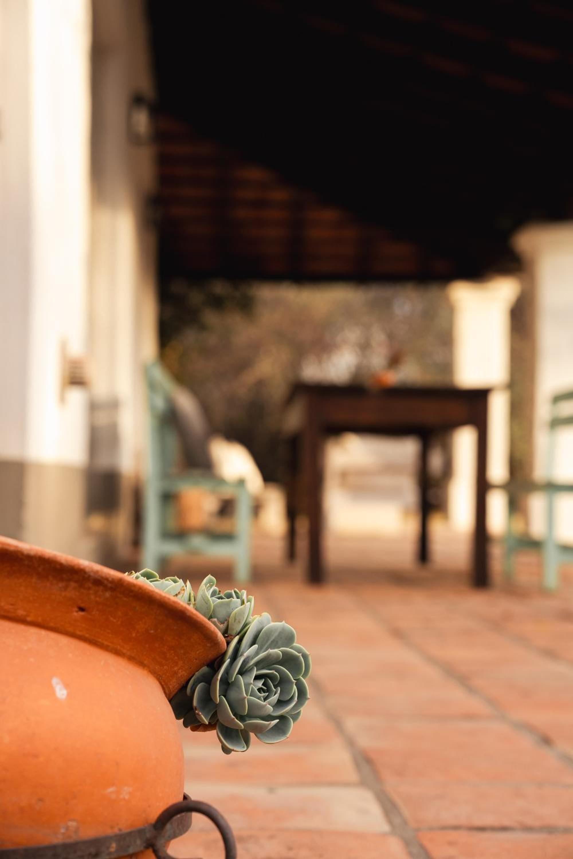 Finca Valentina
