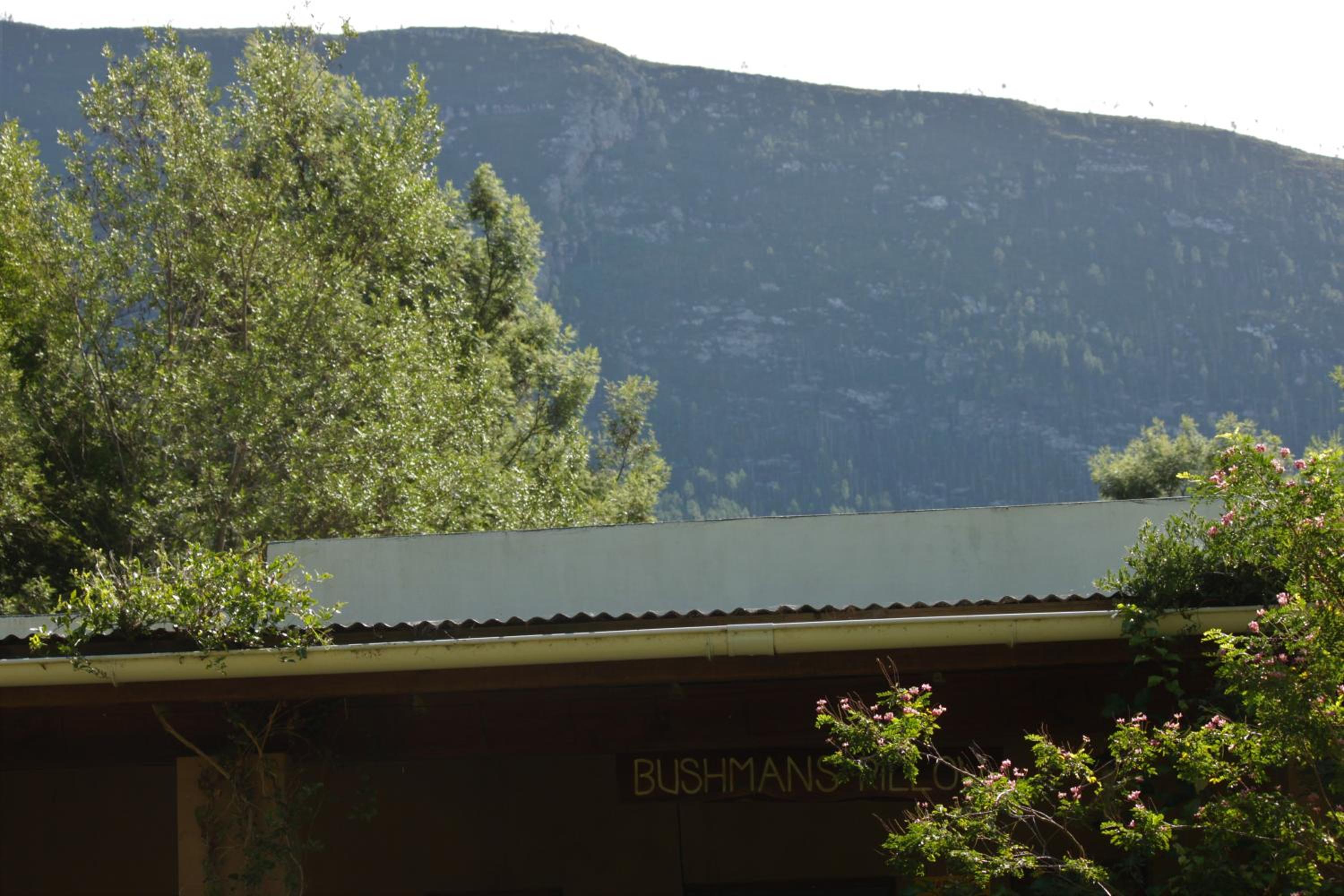 Bushman's Pillow view 3