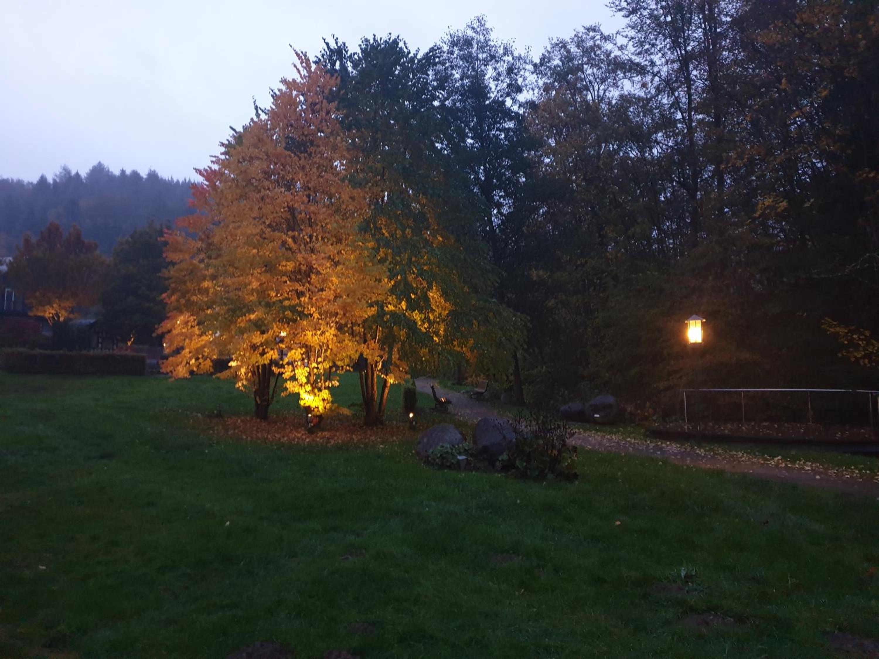 Baumgärtner