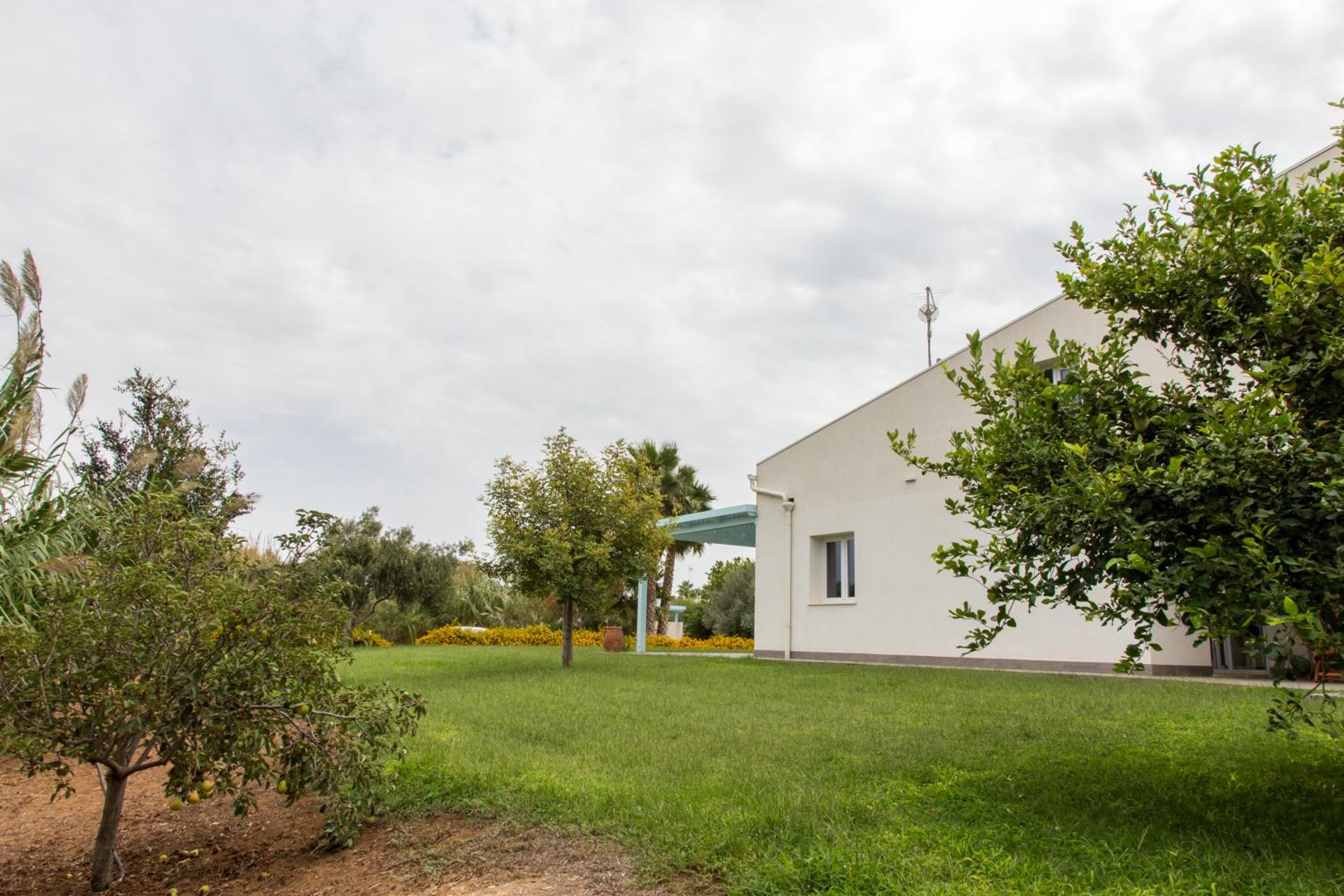 Photo 35