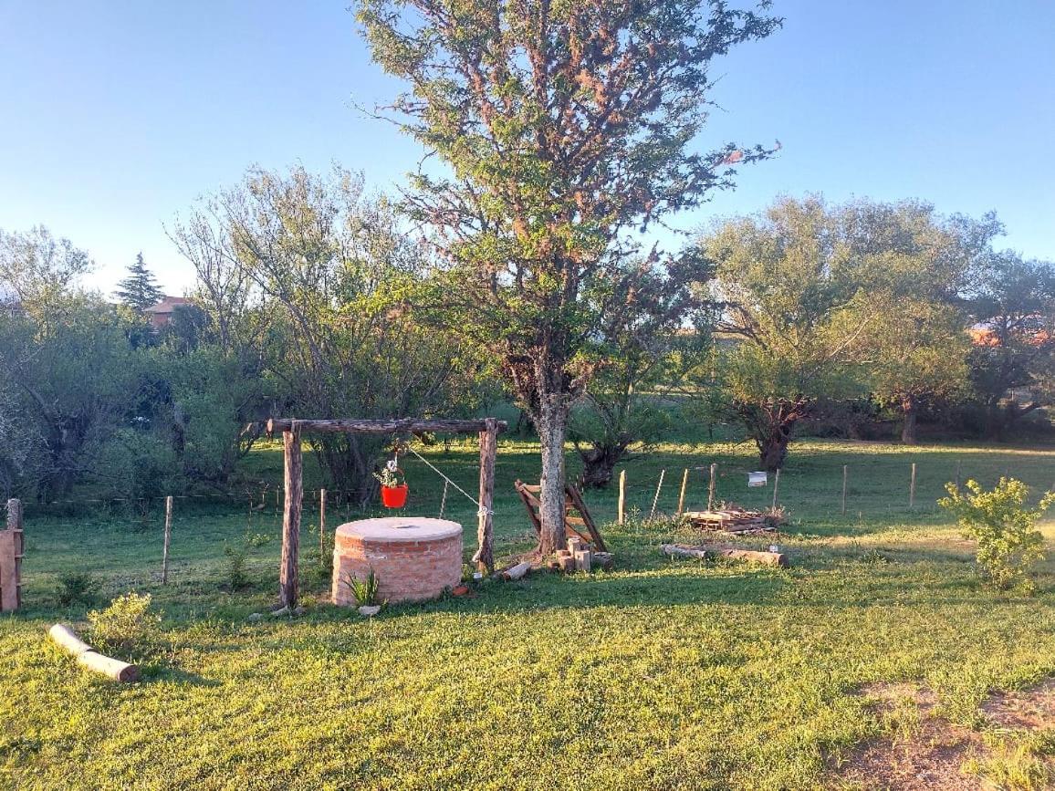 Abrazados Suites del Valle