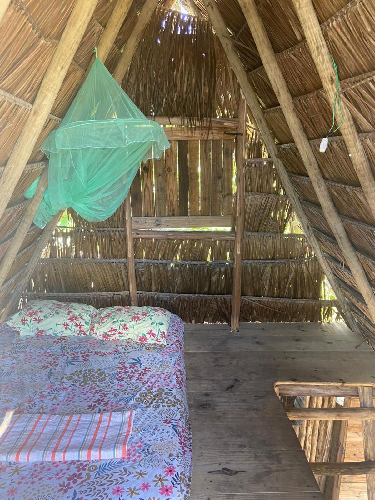 Cabana Família Coruja