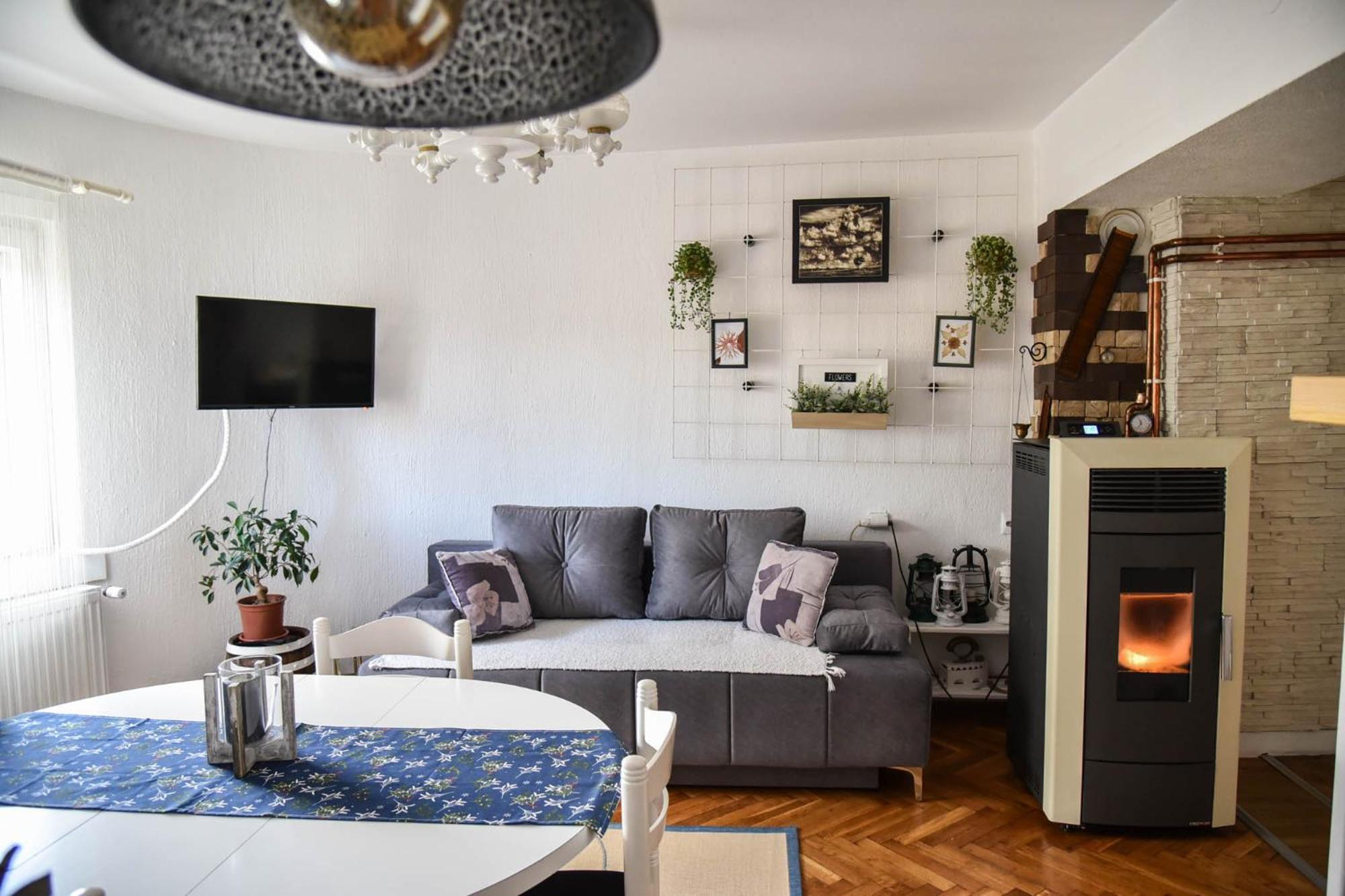 Apartman Ristovic view 5