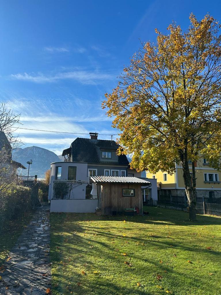 Dambach Appartement