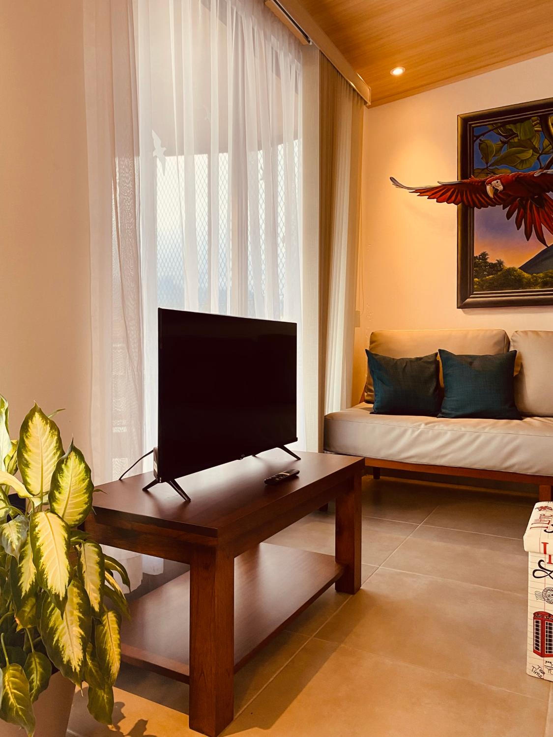 Casa Macaw