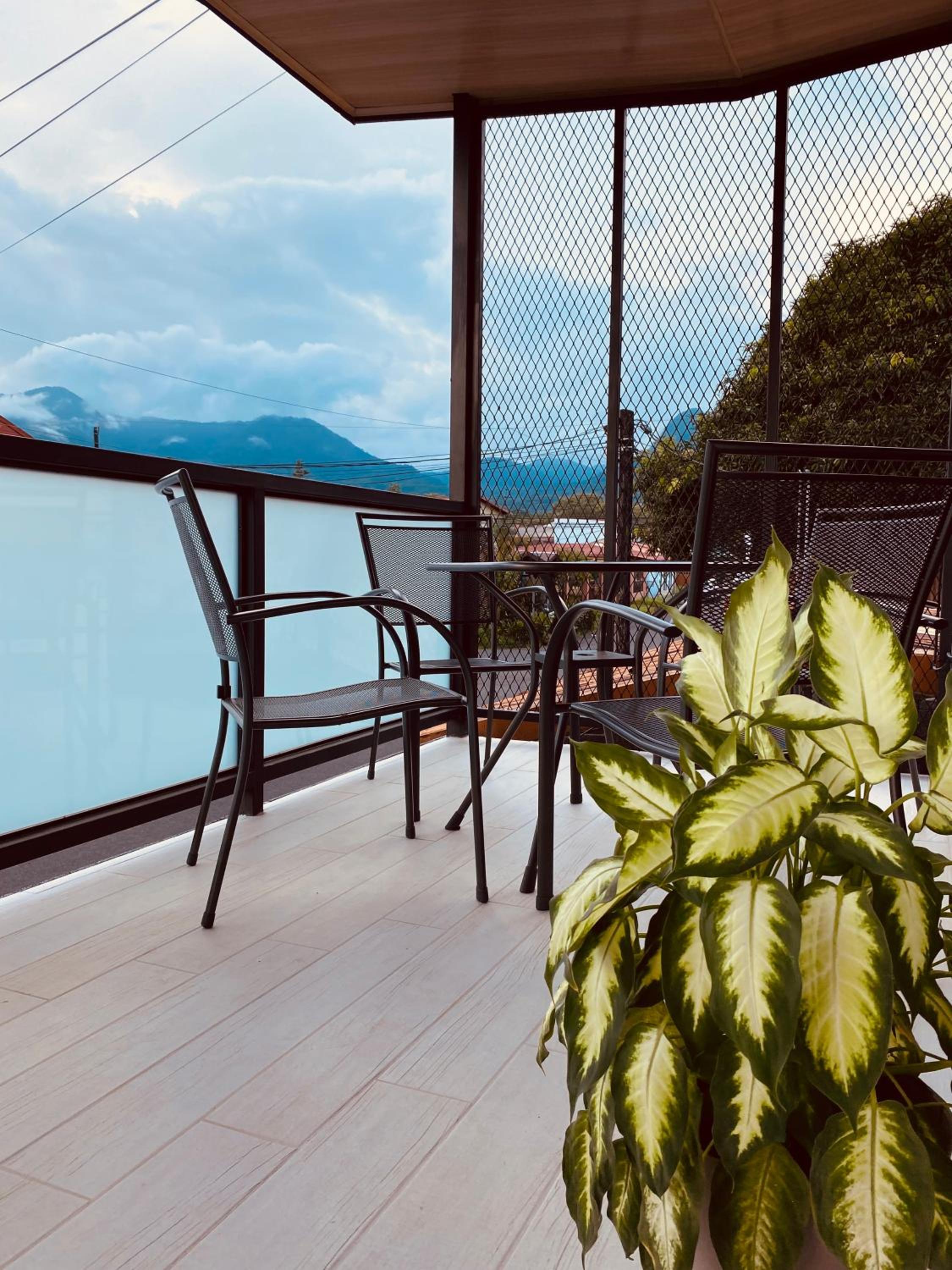 Casa Macaw