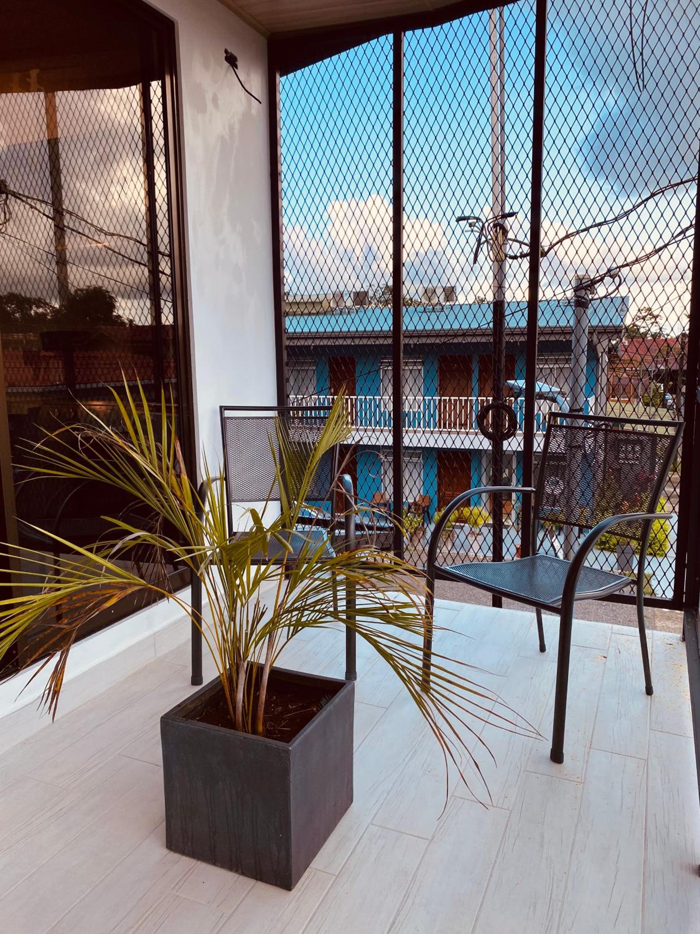 Casa Macaw