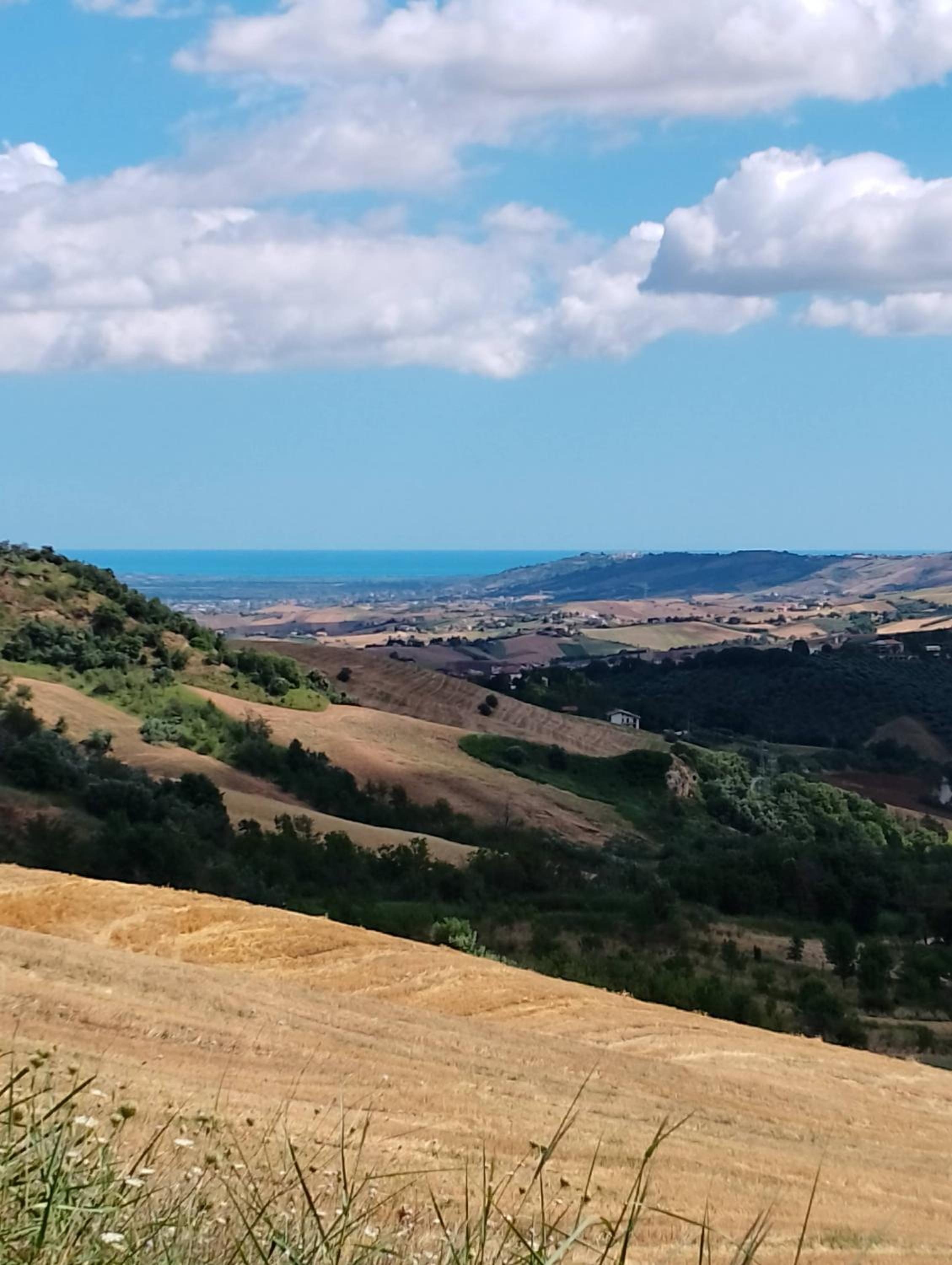Minicasa nella fattoria view 2