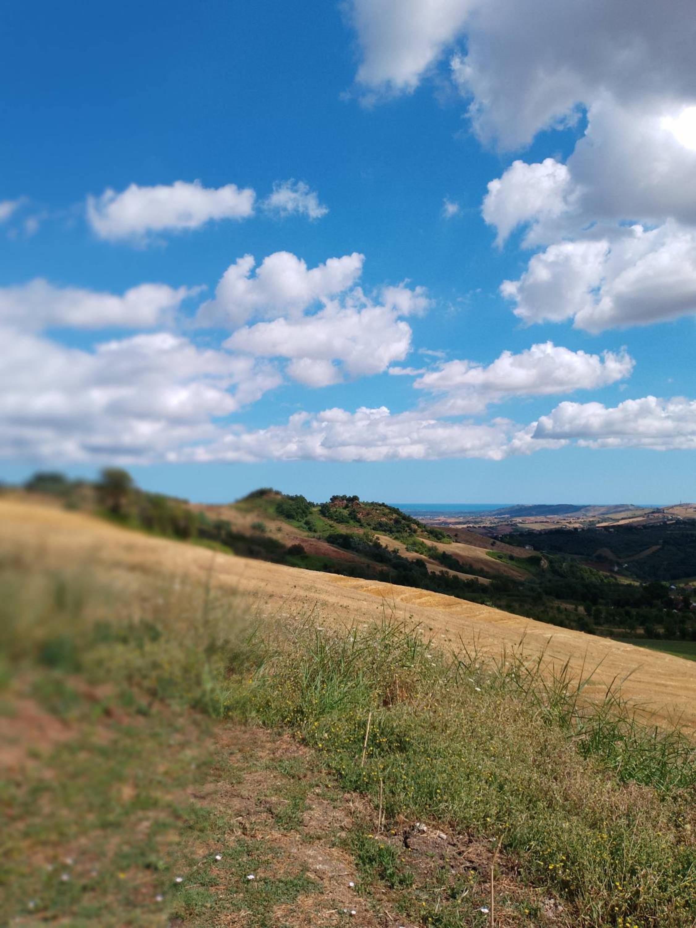 Minicasa nella fattoria view 3
