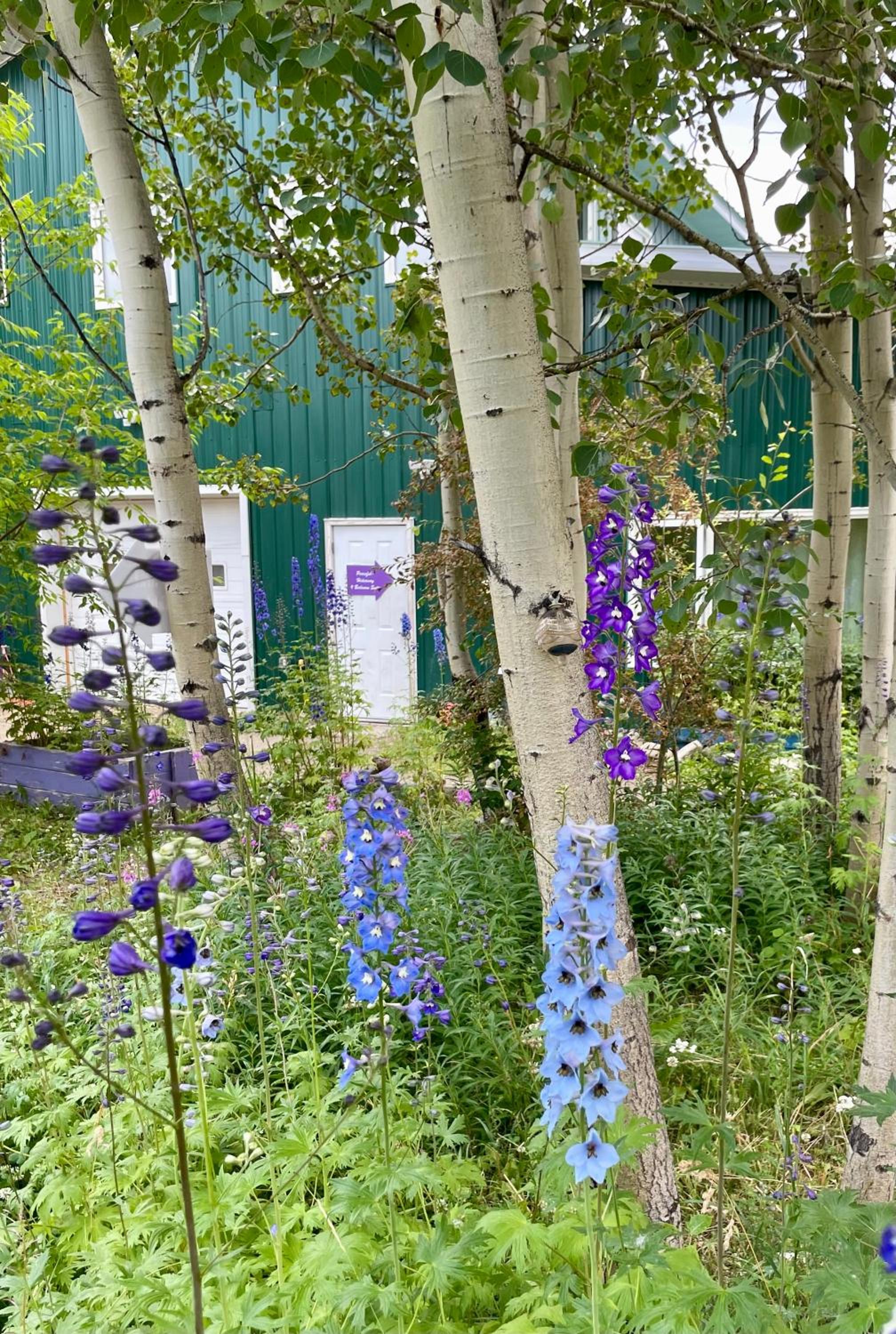 Yukon River Farm