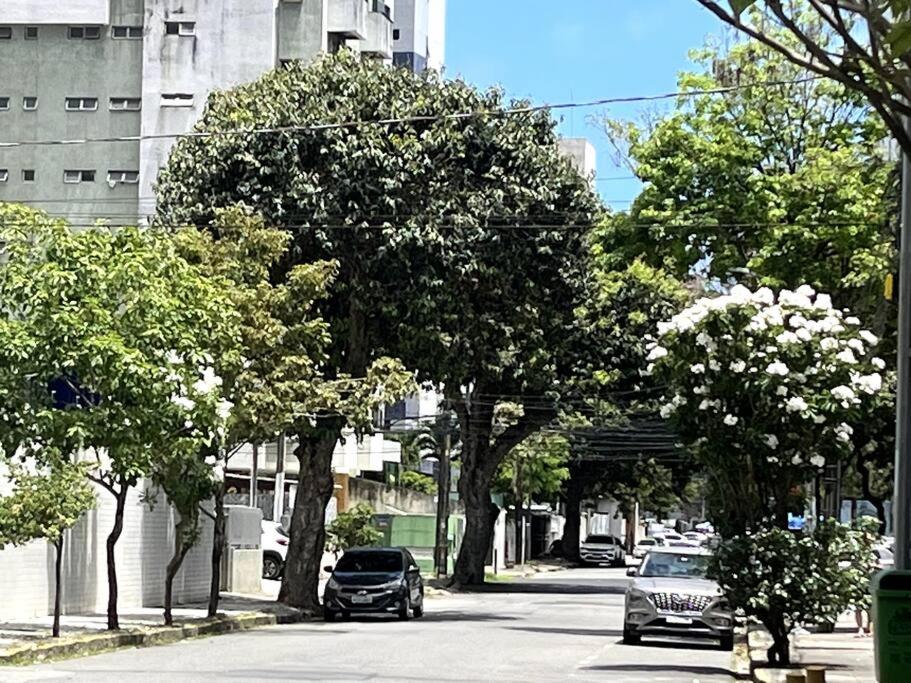 Flat Encantador e Sofisticado 
