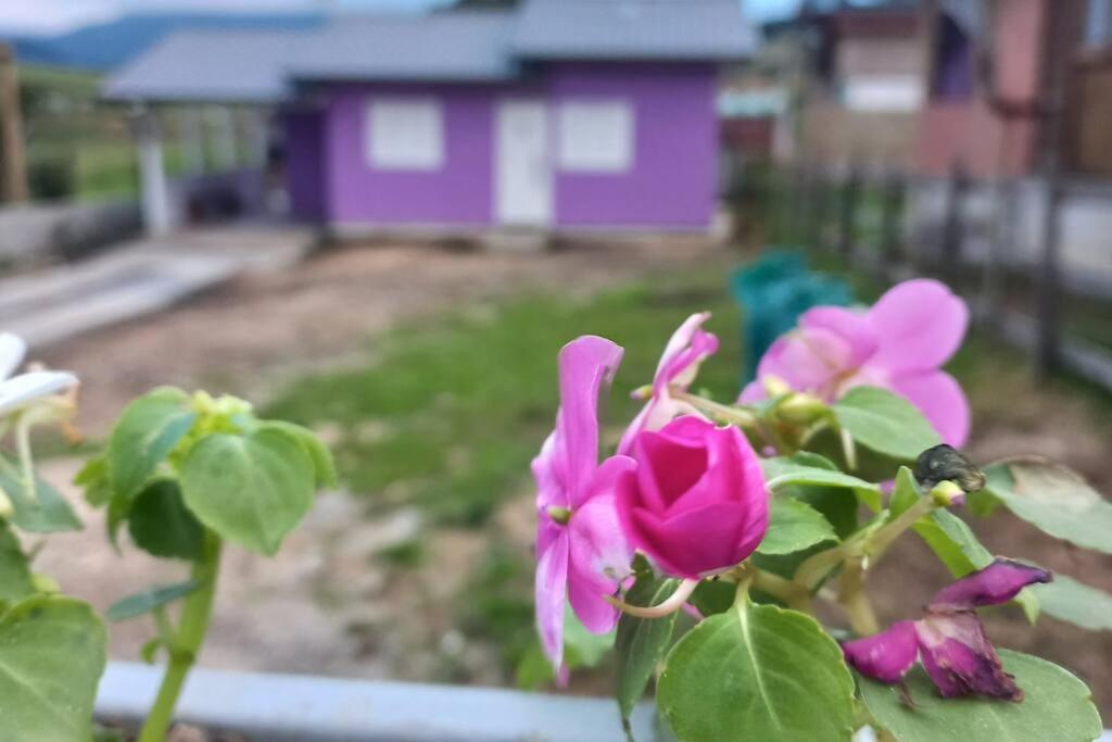 Casa Aconchego Florido