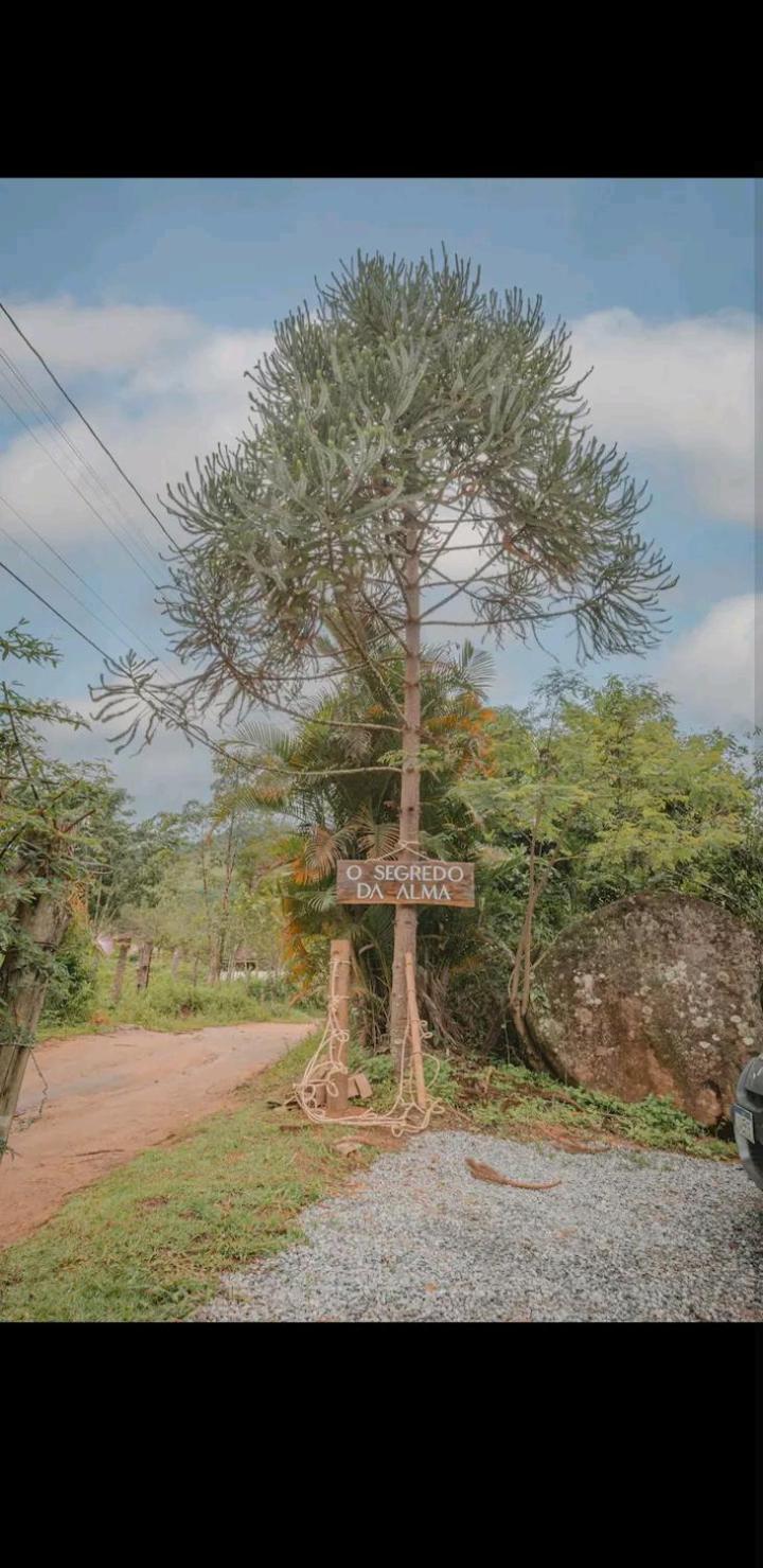 Casa O Segredo da Alma
