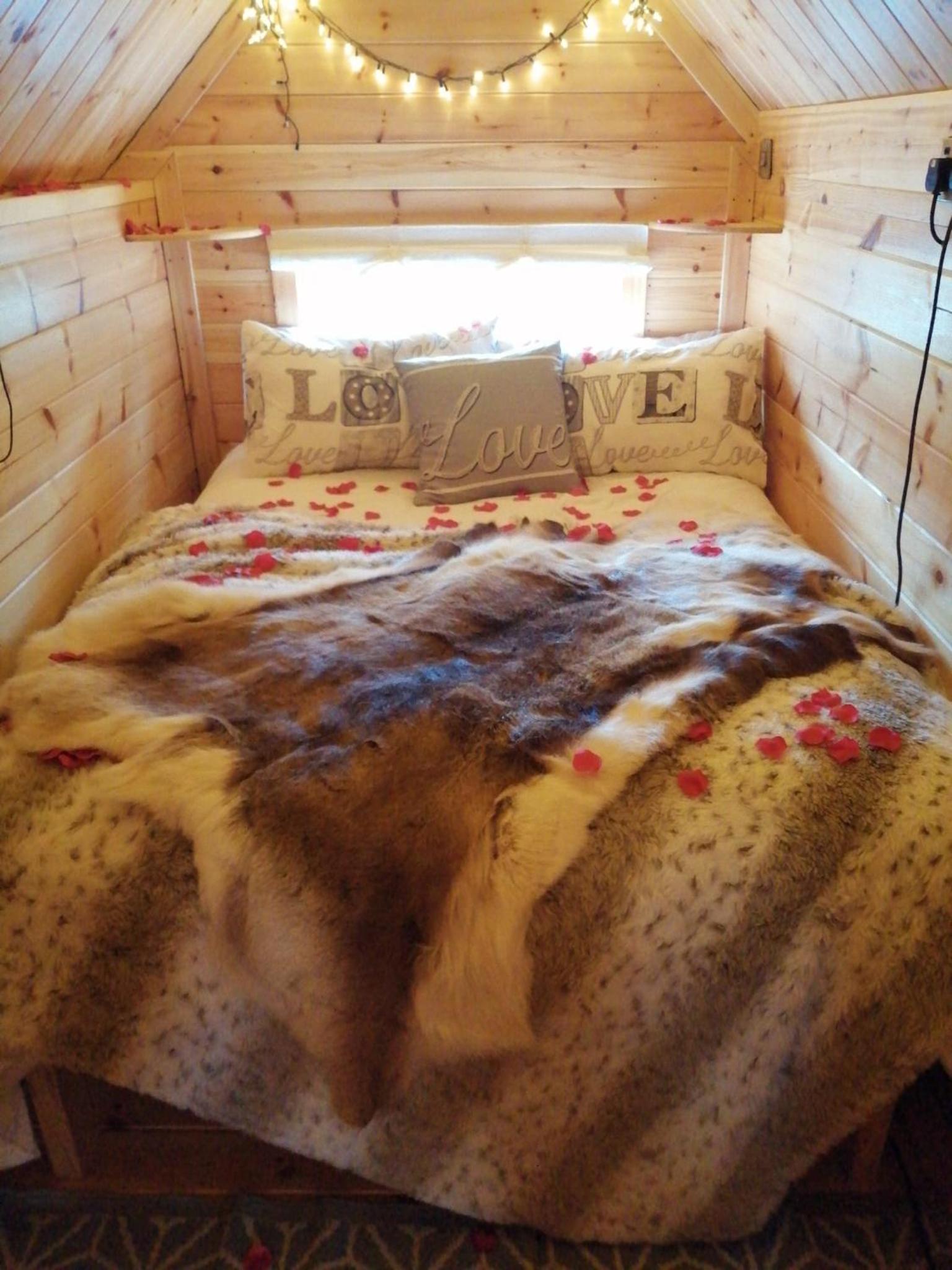 Cozy Cabin Retreat in Anglesey view 3