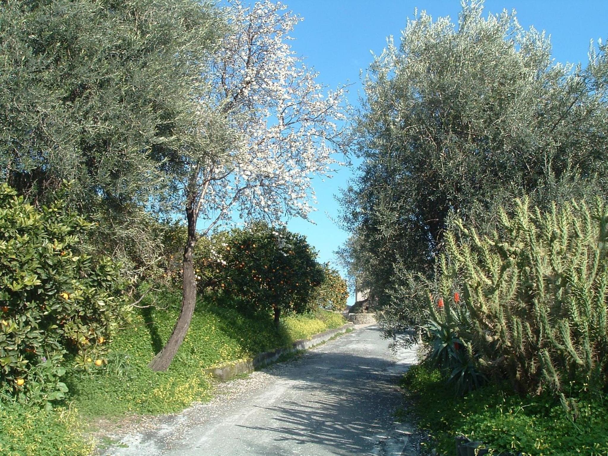 Antico Borgo Etneo Country Hotel
