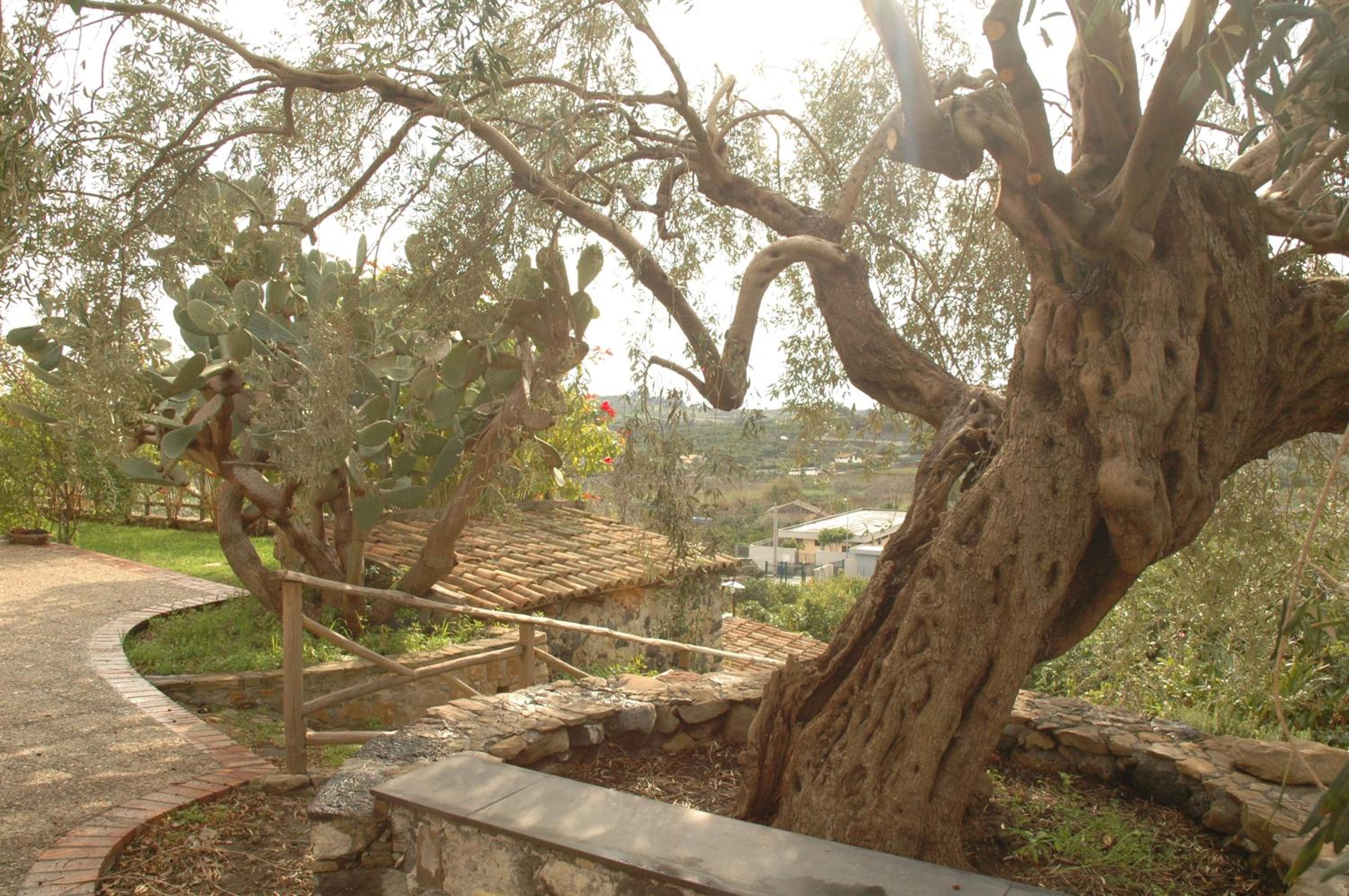 Antico Borgo Etneo Country Hotel