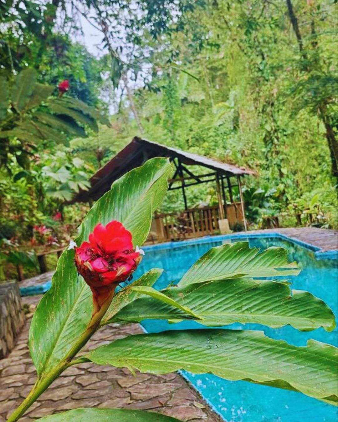 Princesa de la Luna EcoLodge 3
