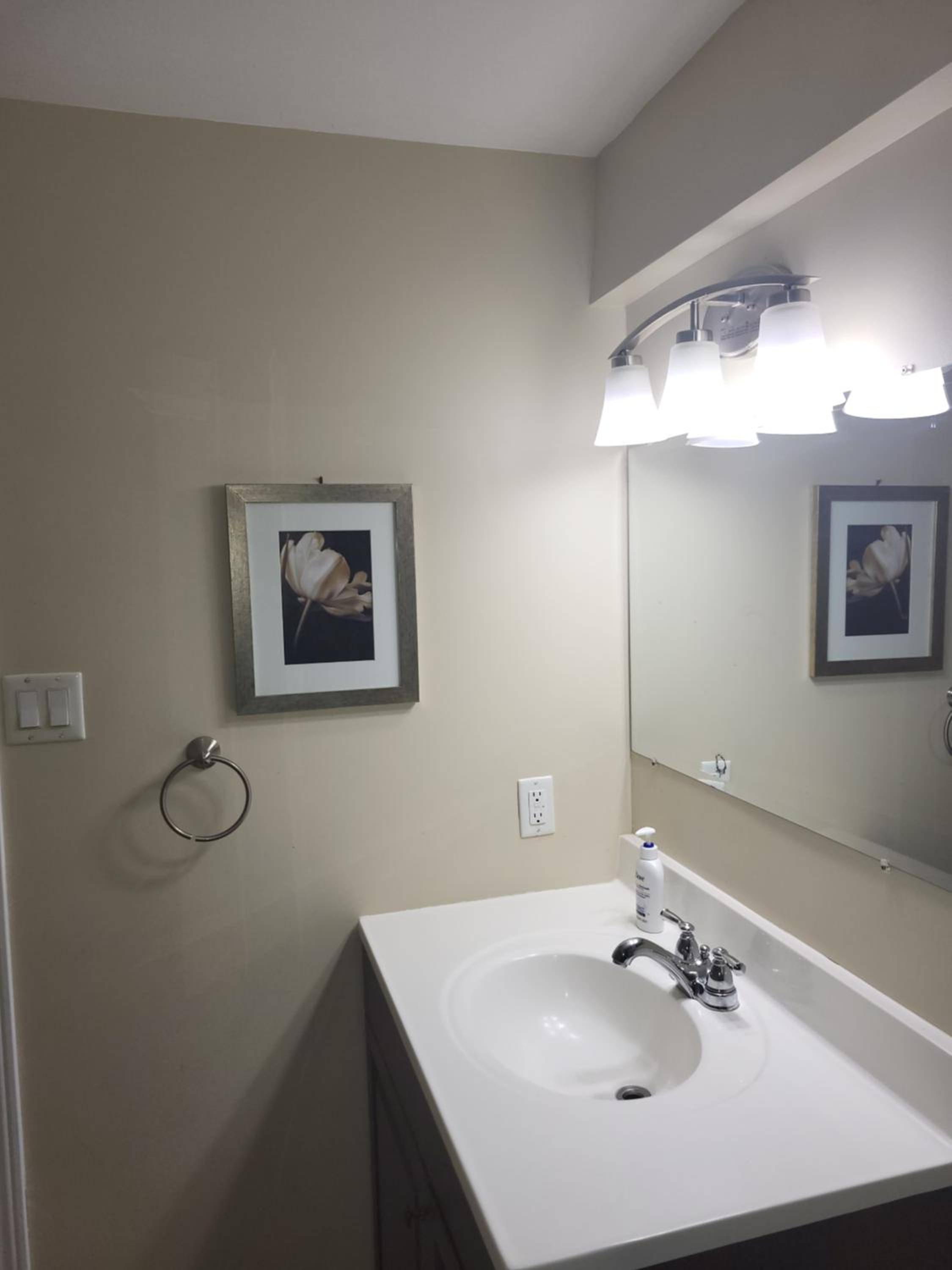 Lovely Guest Entire Apartment Minutes From Ottawa Airport