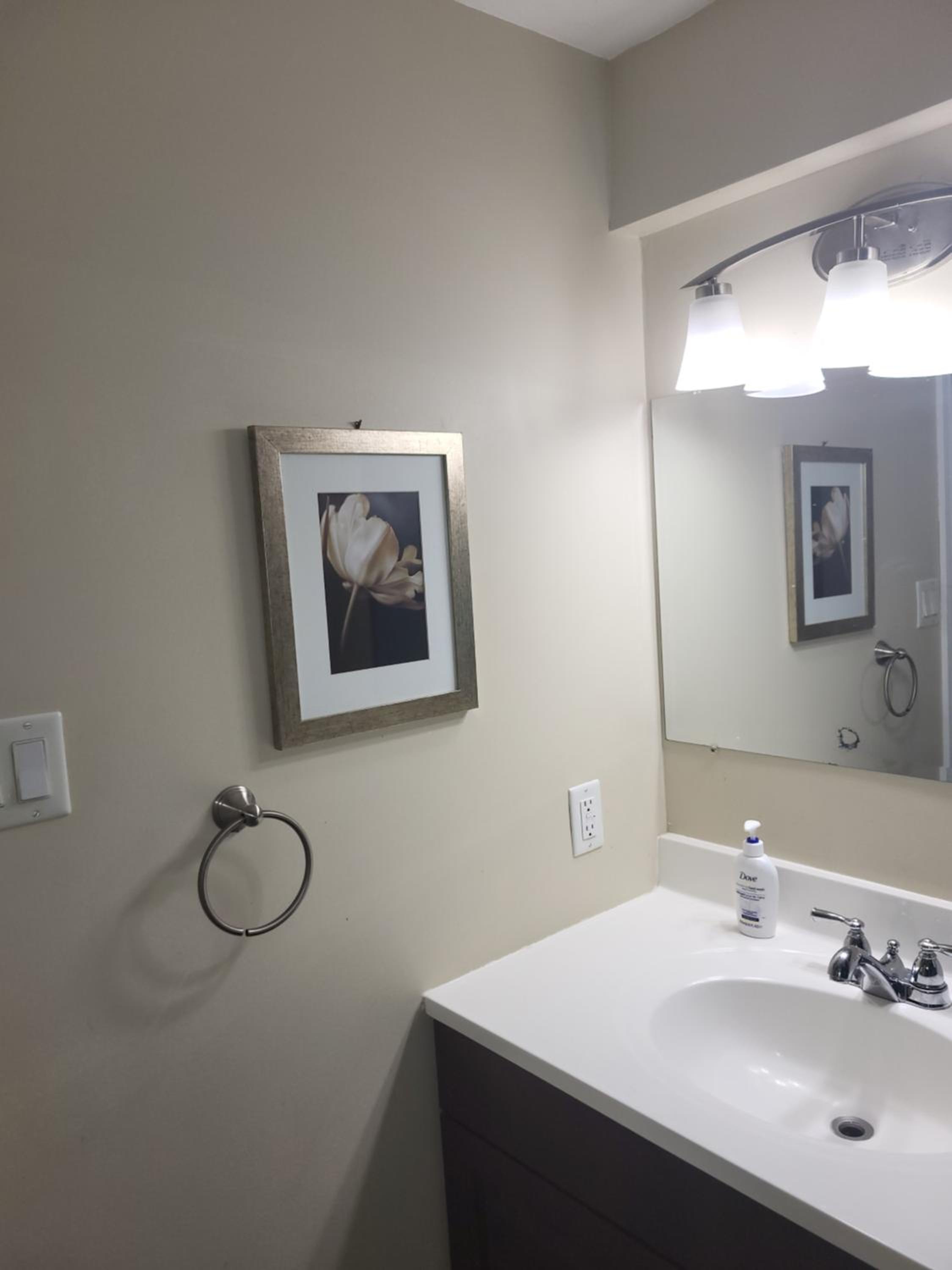 Lovely Guest Entire Apartment Minutes From Ottawa Airport