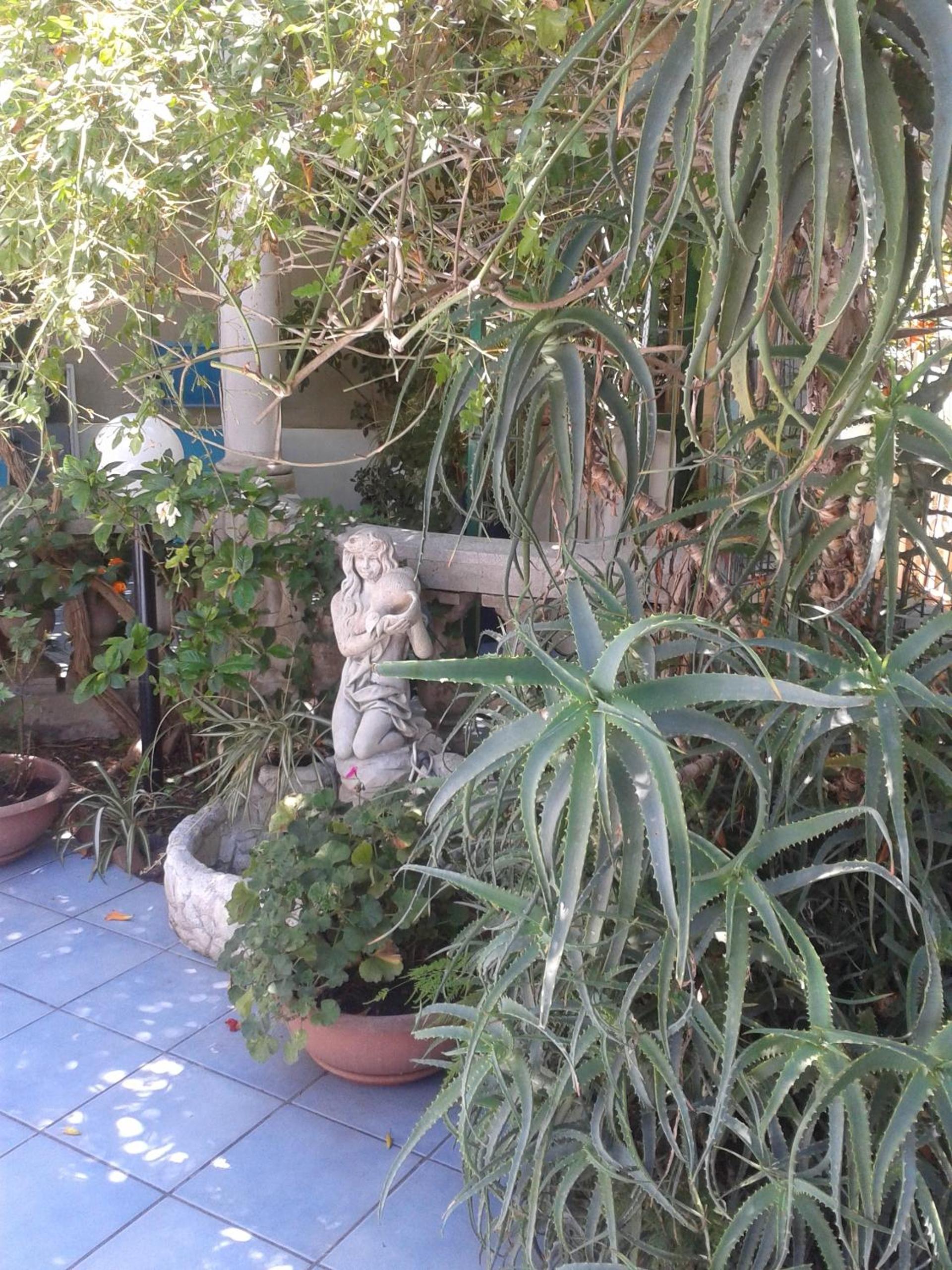 Photo 31