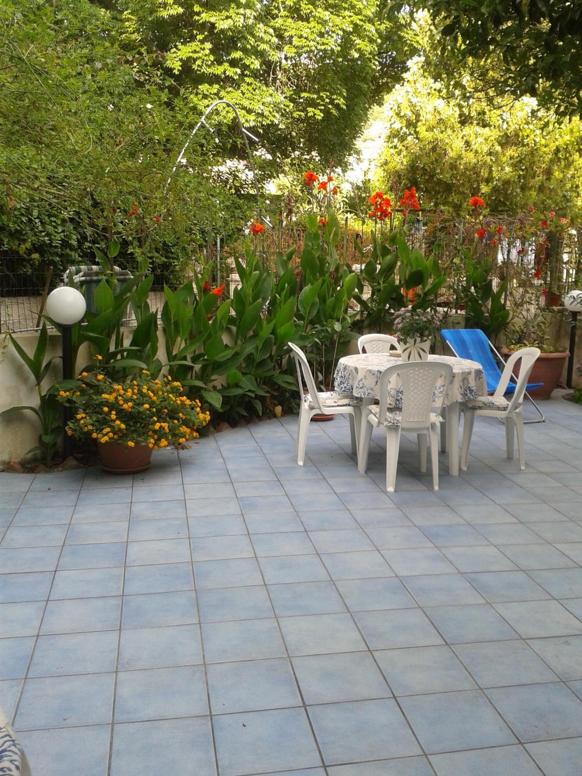 Photo 34