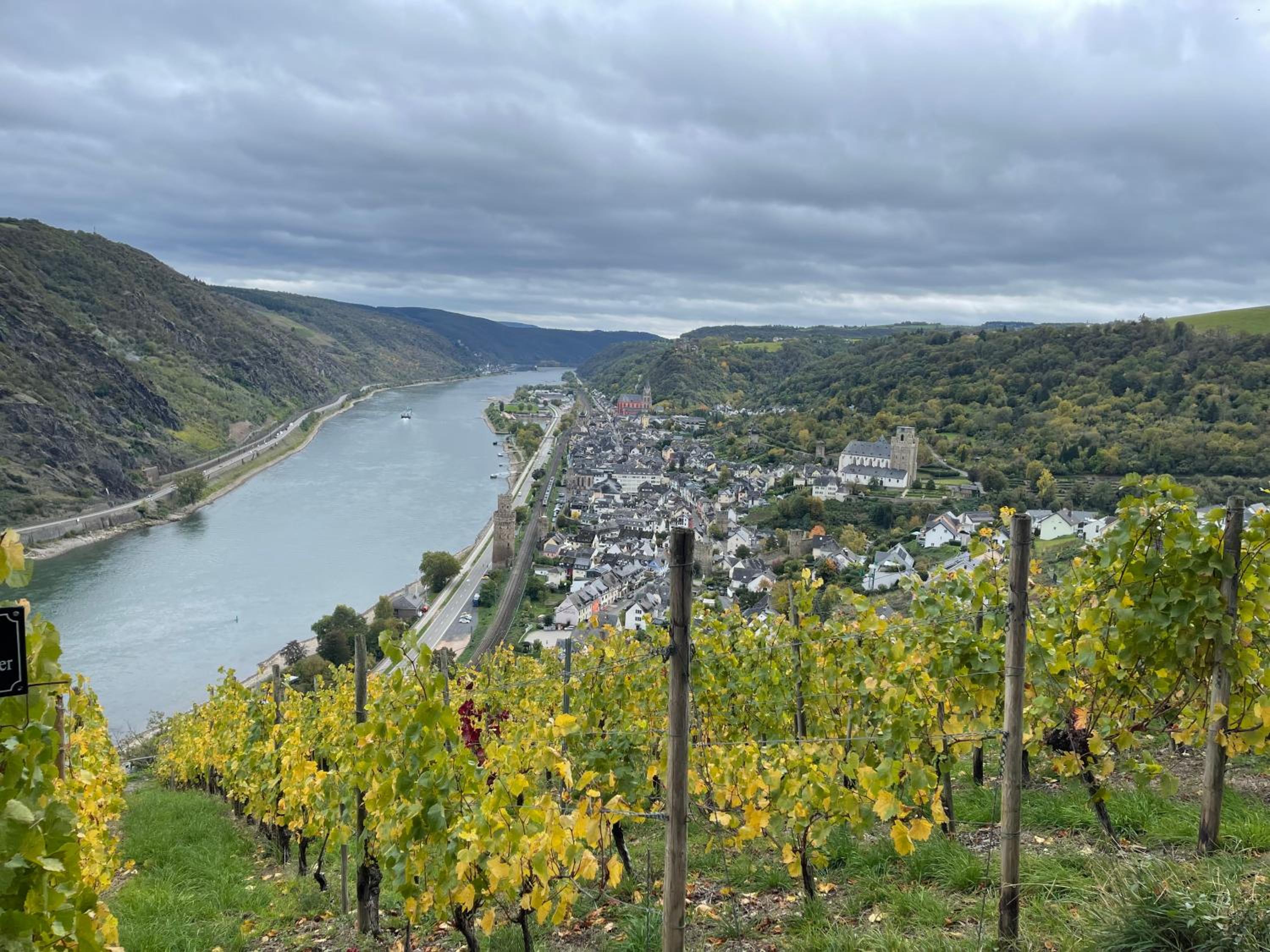 Am Apfelbaum, ein Ferienhaus zwischen Rhein und Mosel