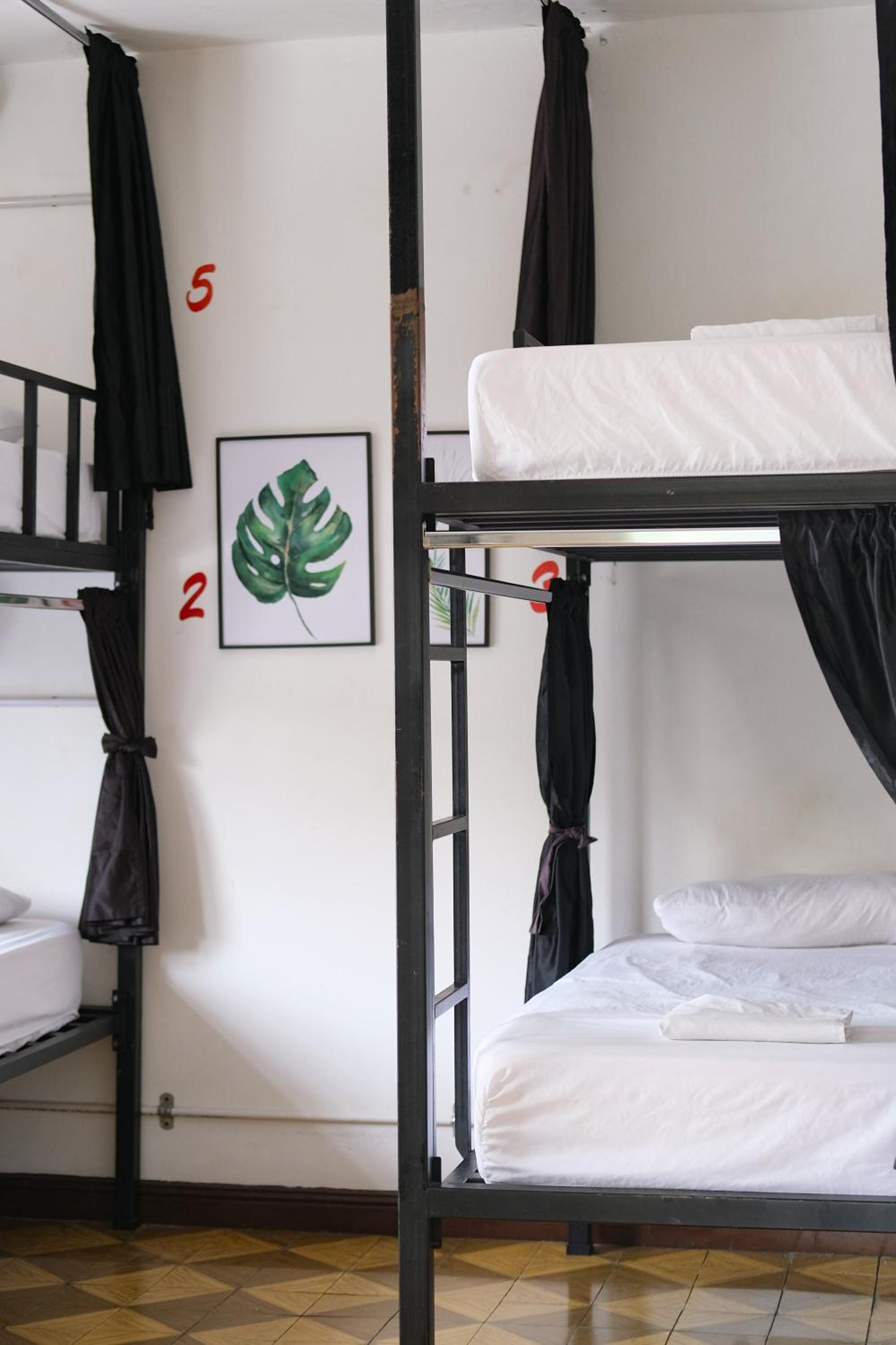 La Palmera Hostel view 5