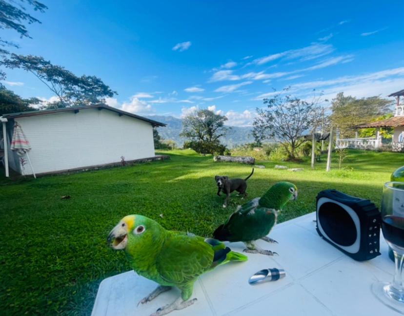 Barbosa Finca el paraíso