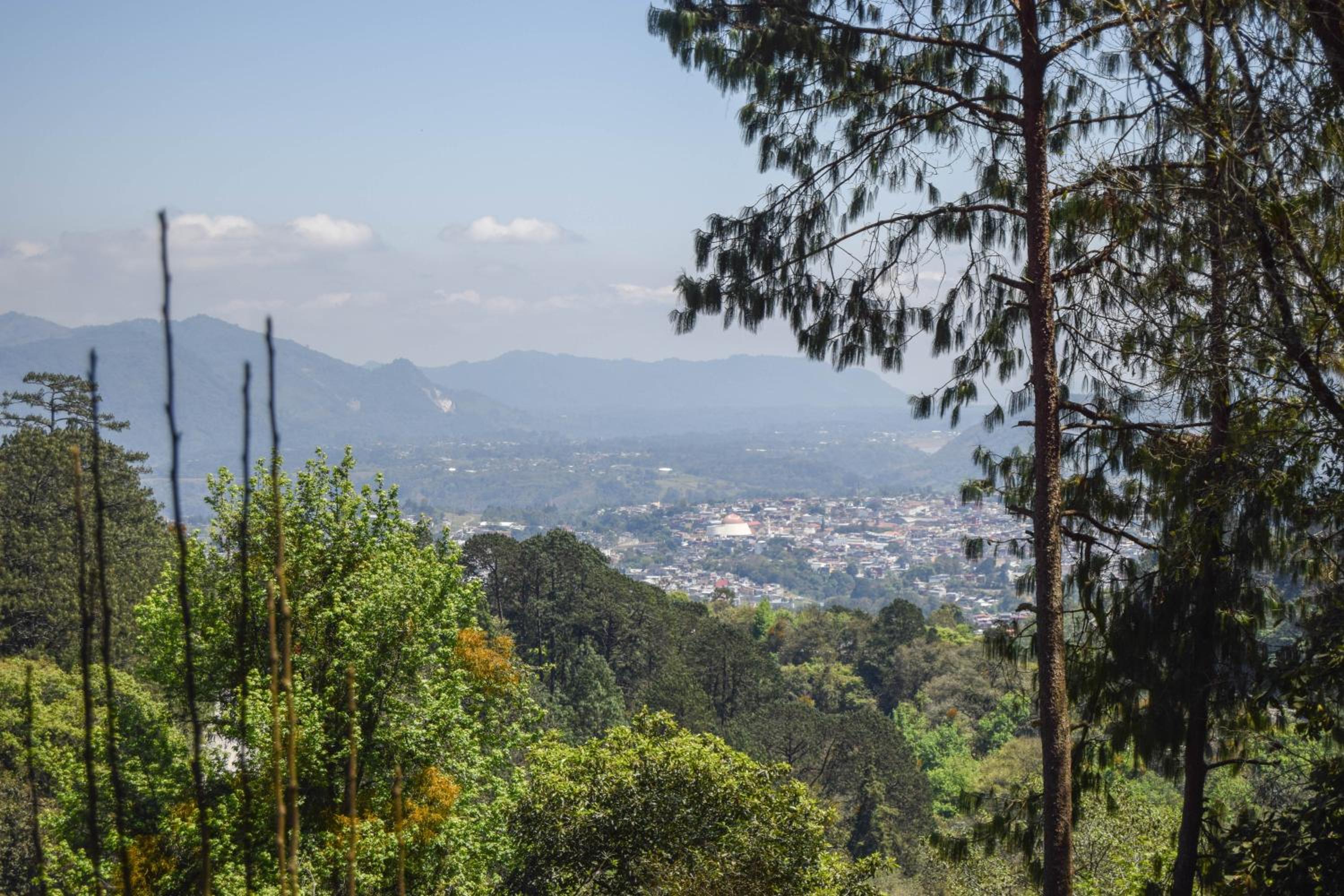 Campestre DAARLU