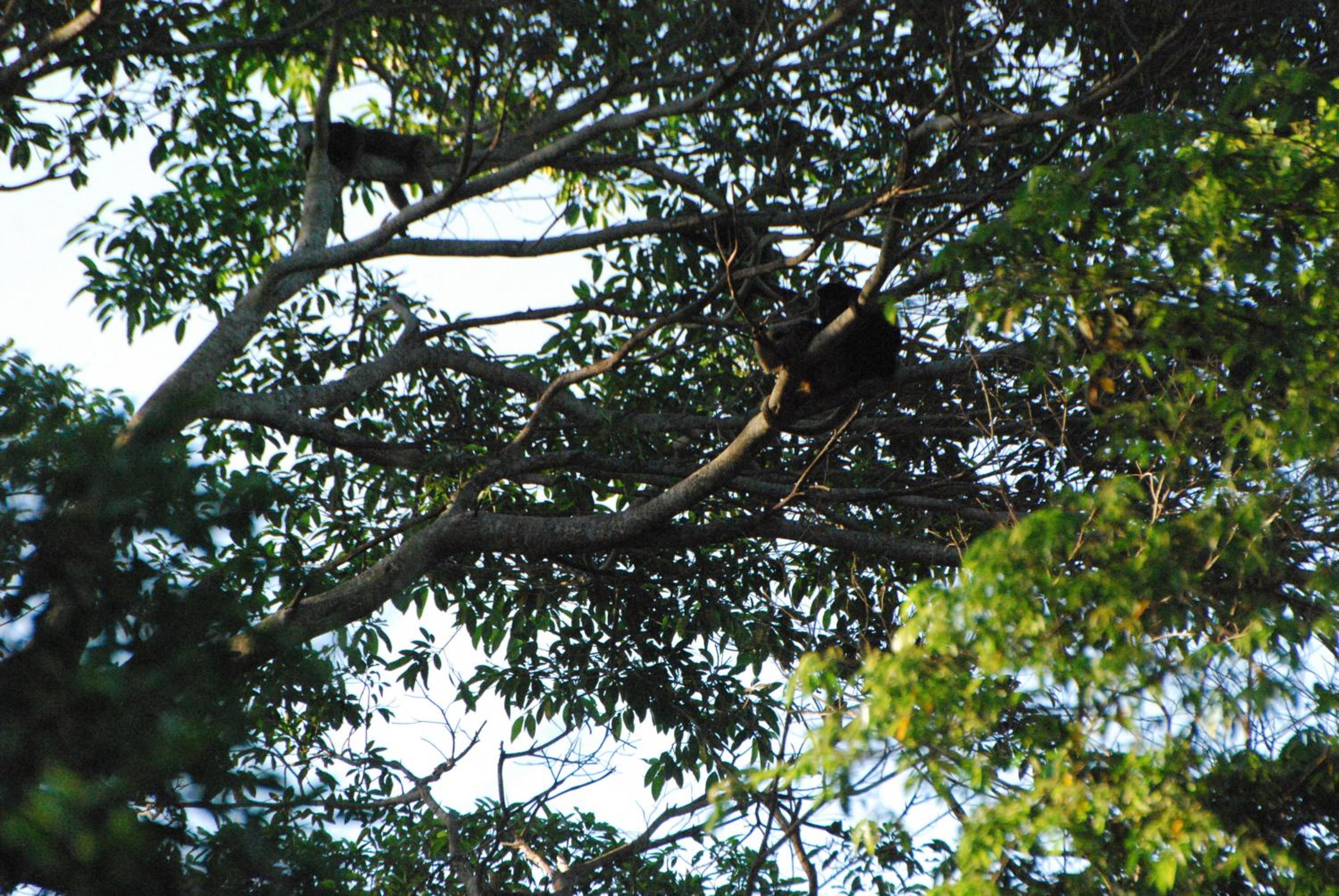 Hostel Camping Road Park Pantanal Sul