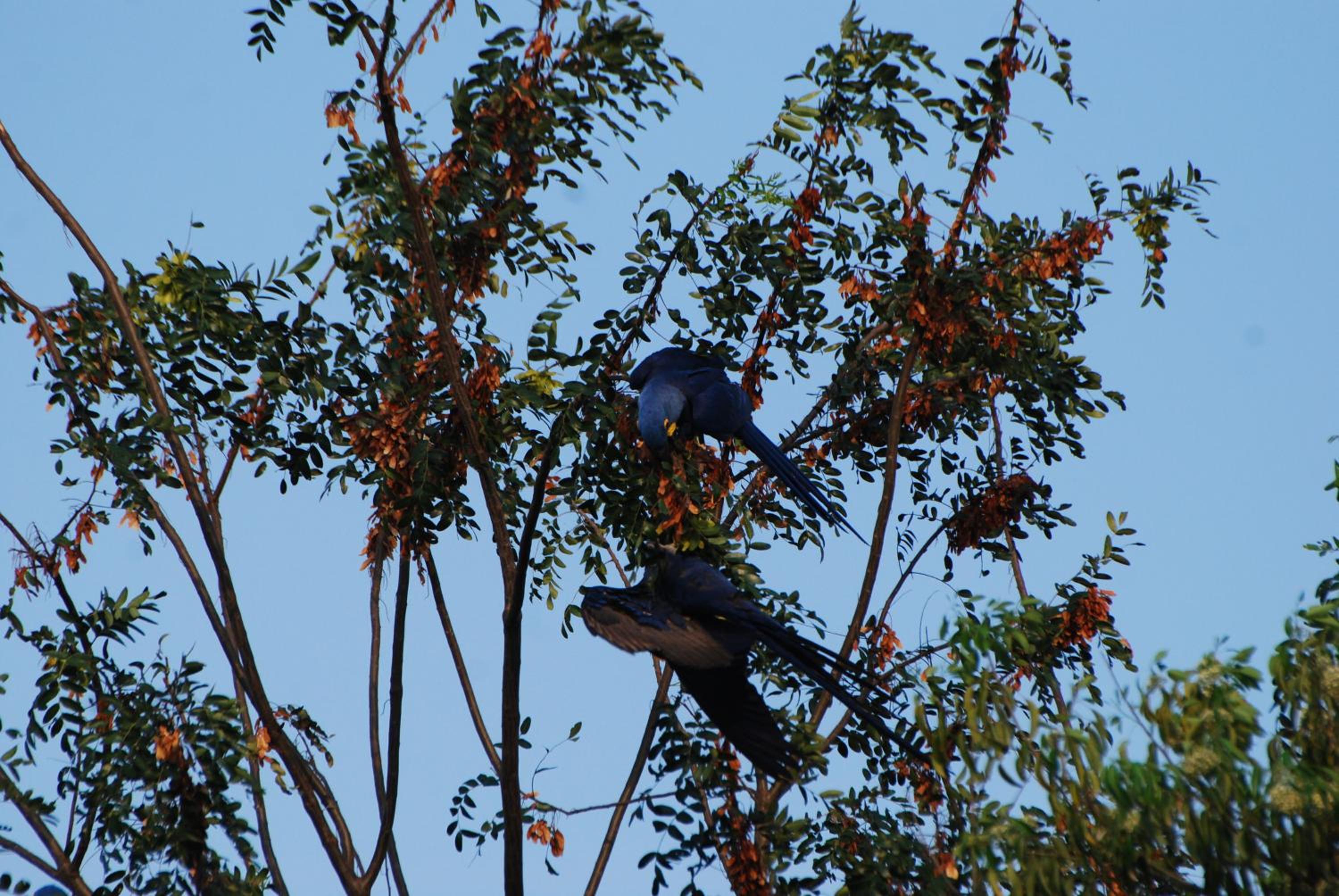 Hostel Camping Road Park Pantanal Sul