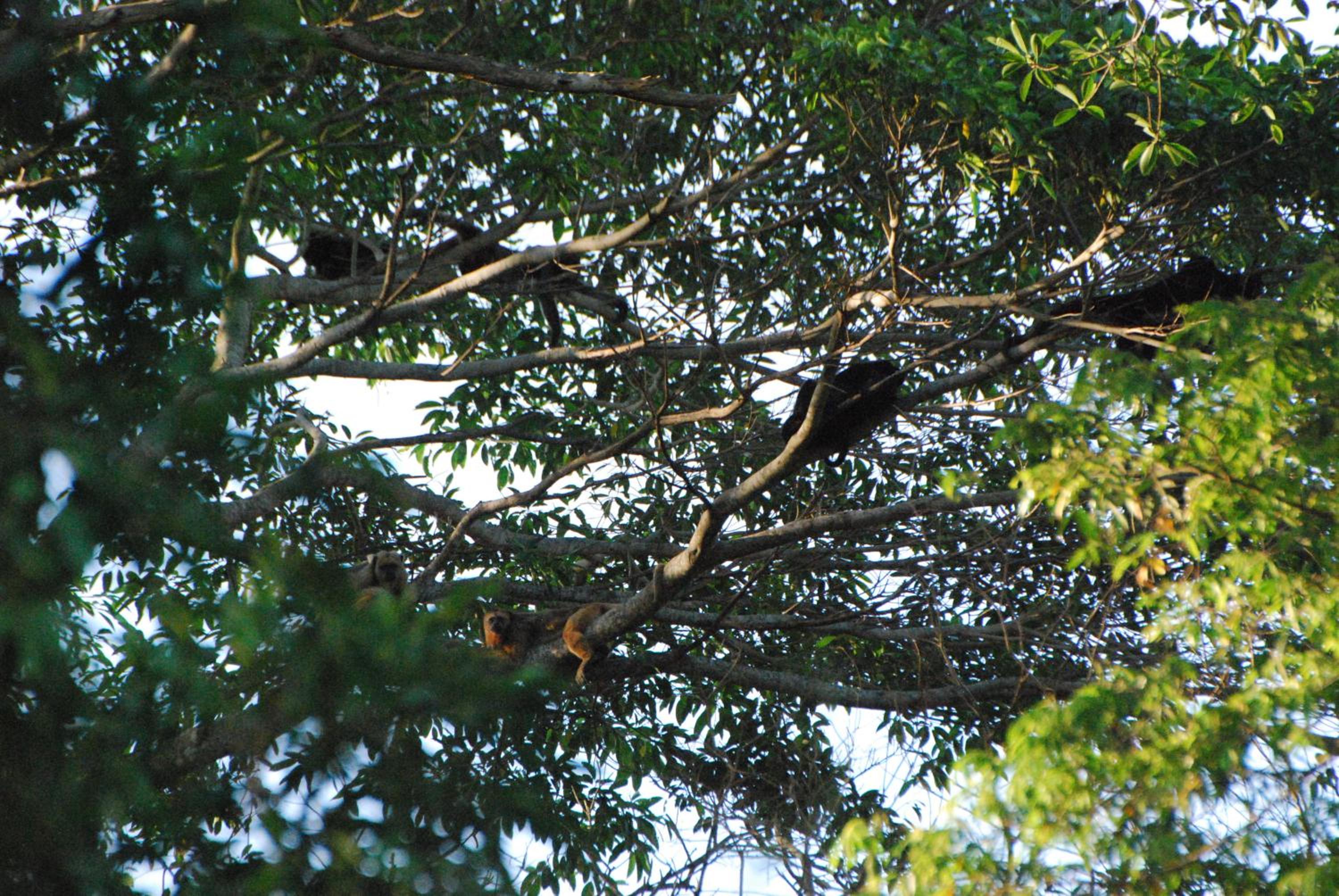 Hostel Camping Road Park Pantanal Sul