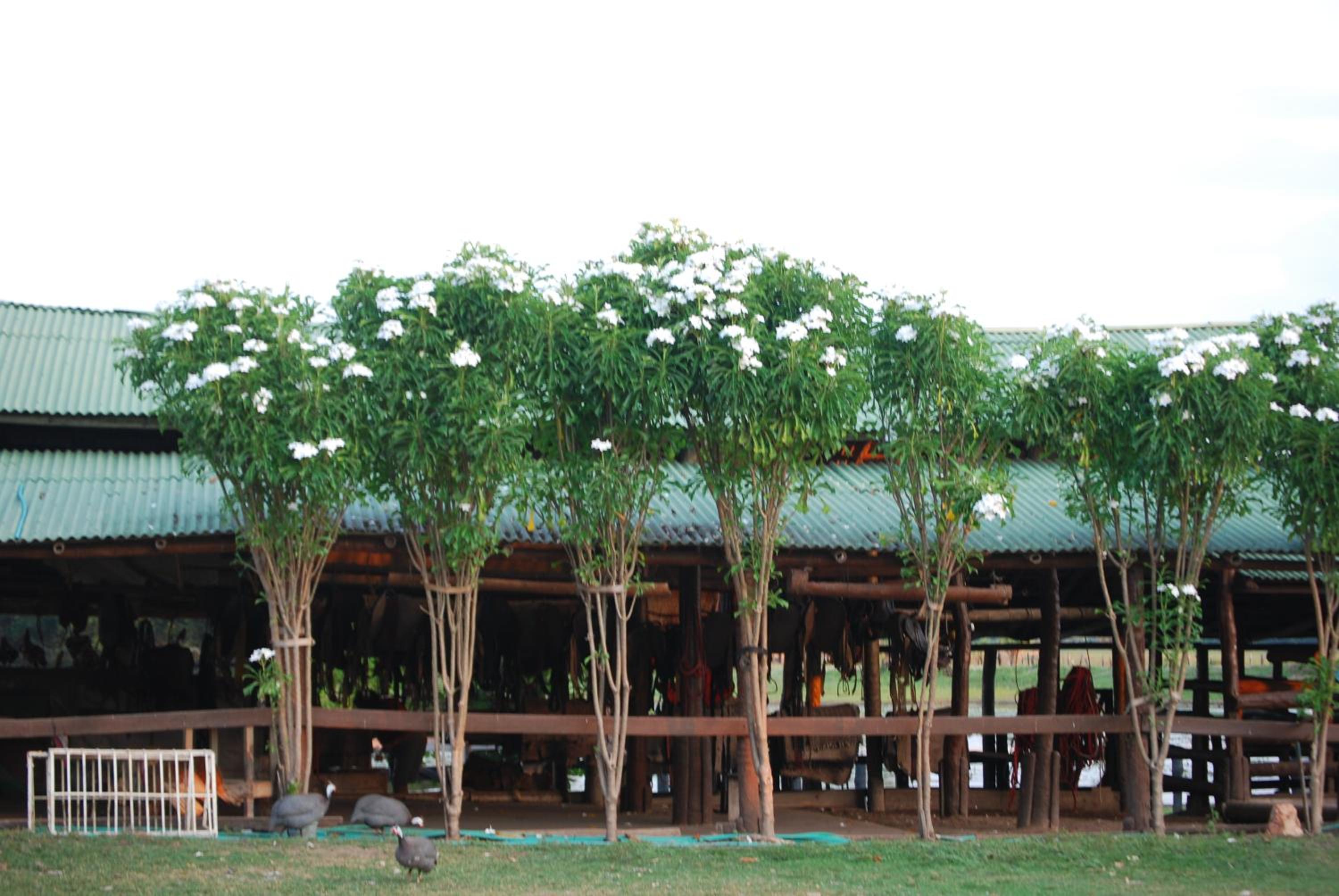 Hostel Camping Road Park Pantanal Sul