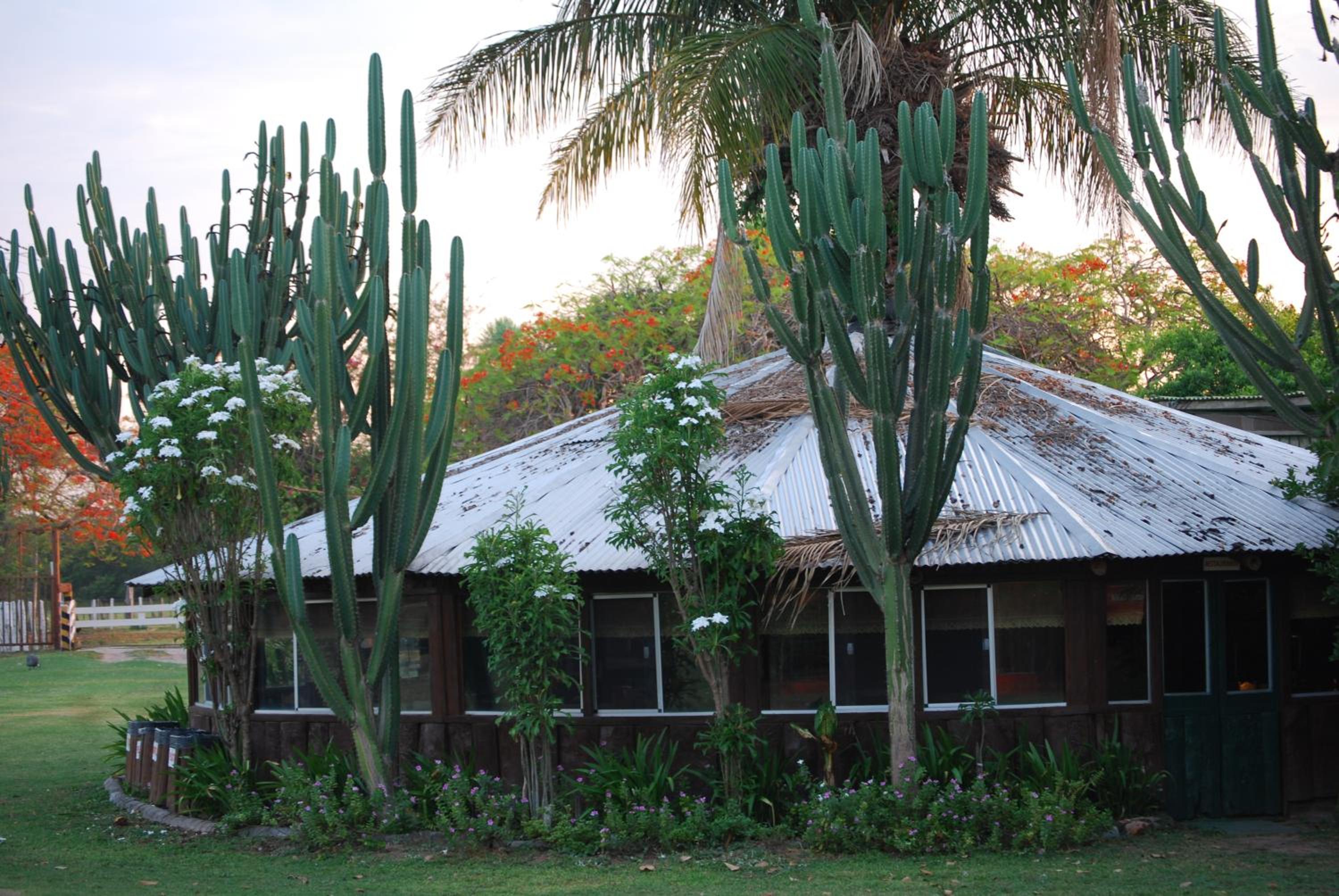 Hostel Camping Road Park Pantanal Sul