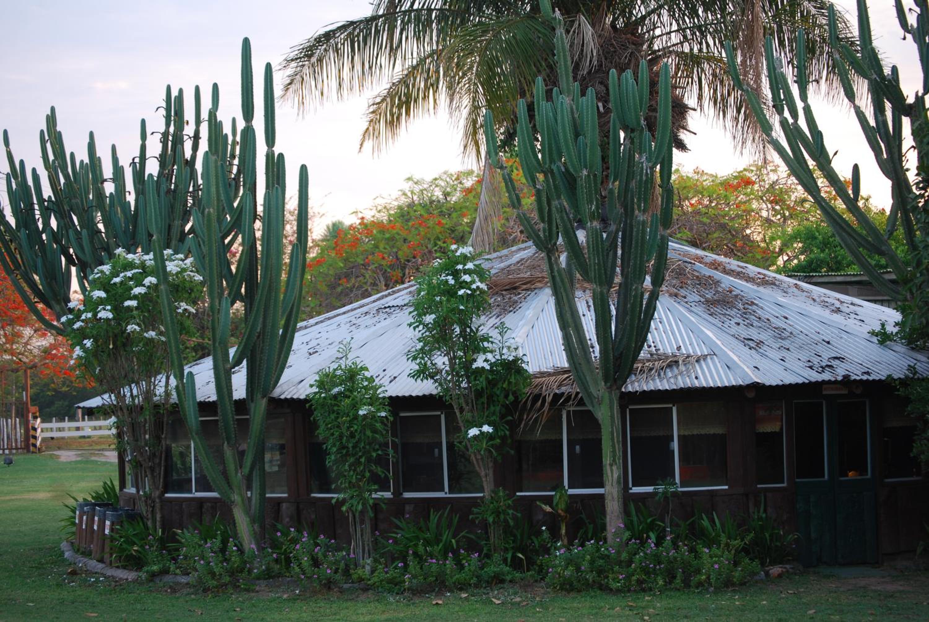 Hostel Camping Road Park Pantanal Sul