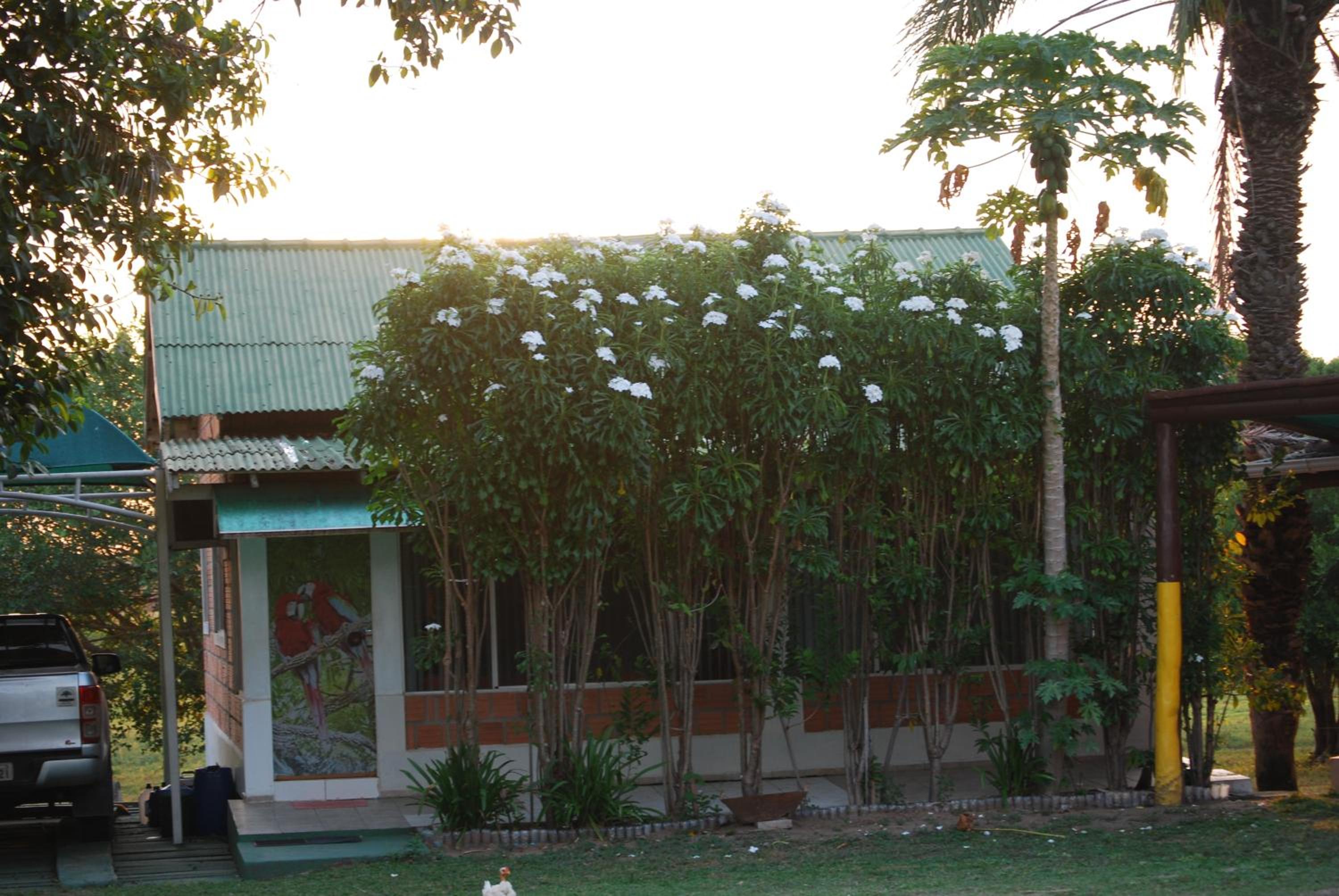 Hostel Camping Road Park Pantanal Sul