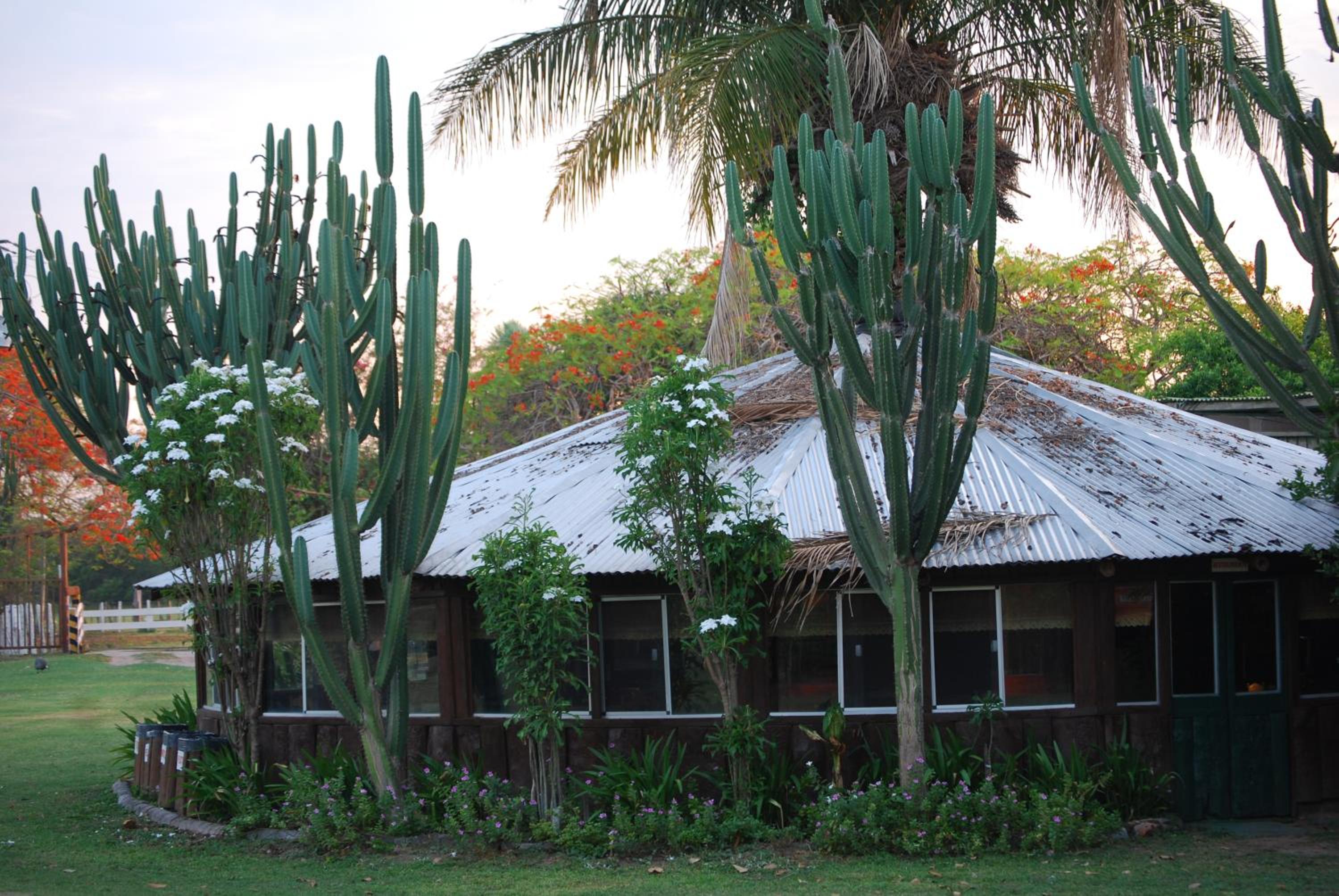 Hostel Camping Road Park Pantanal Sul