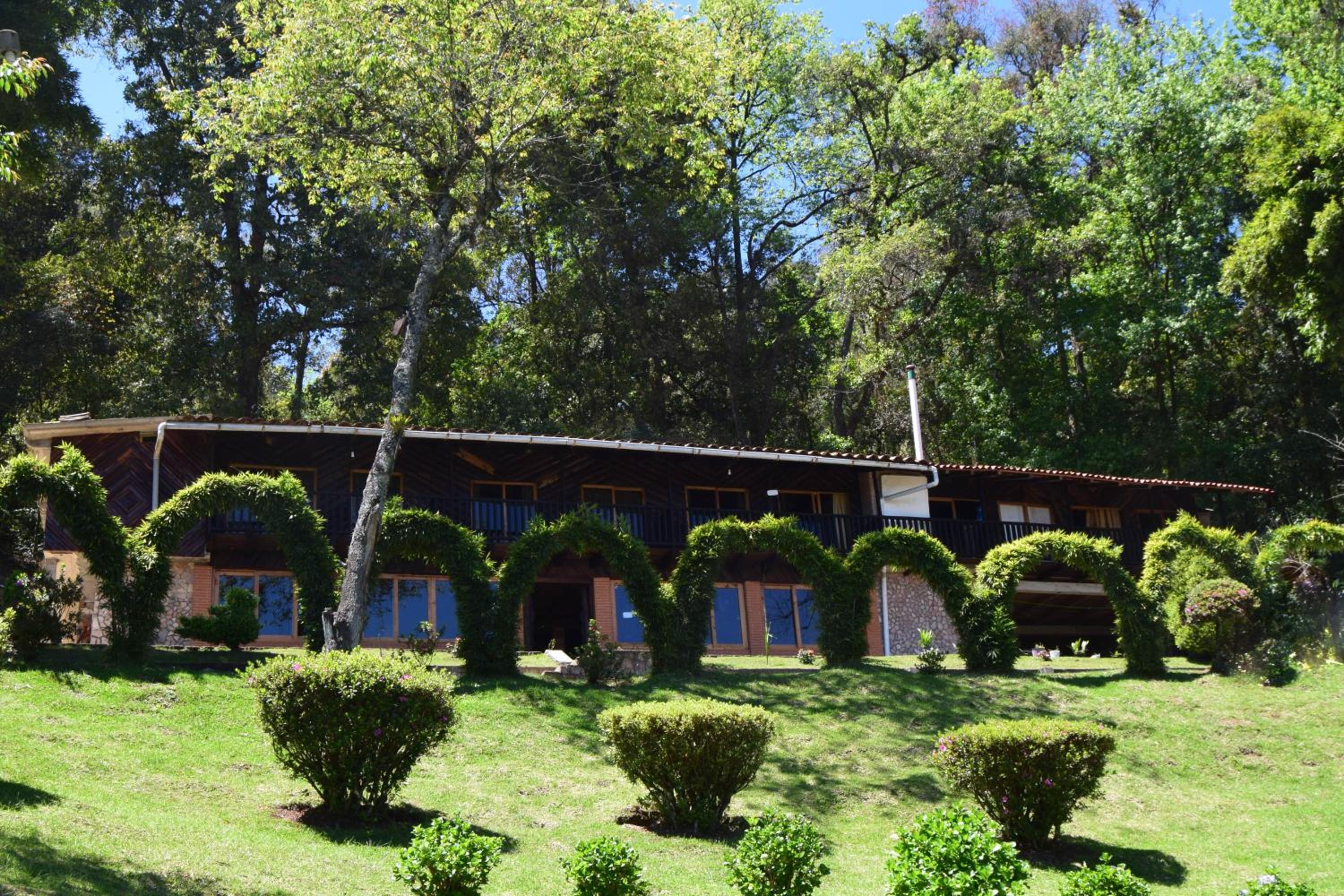 Campestre DAARLU