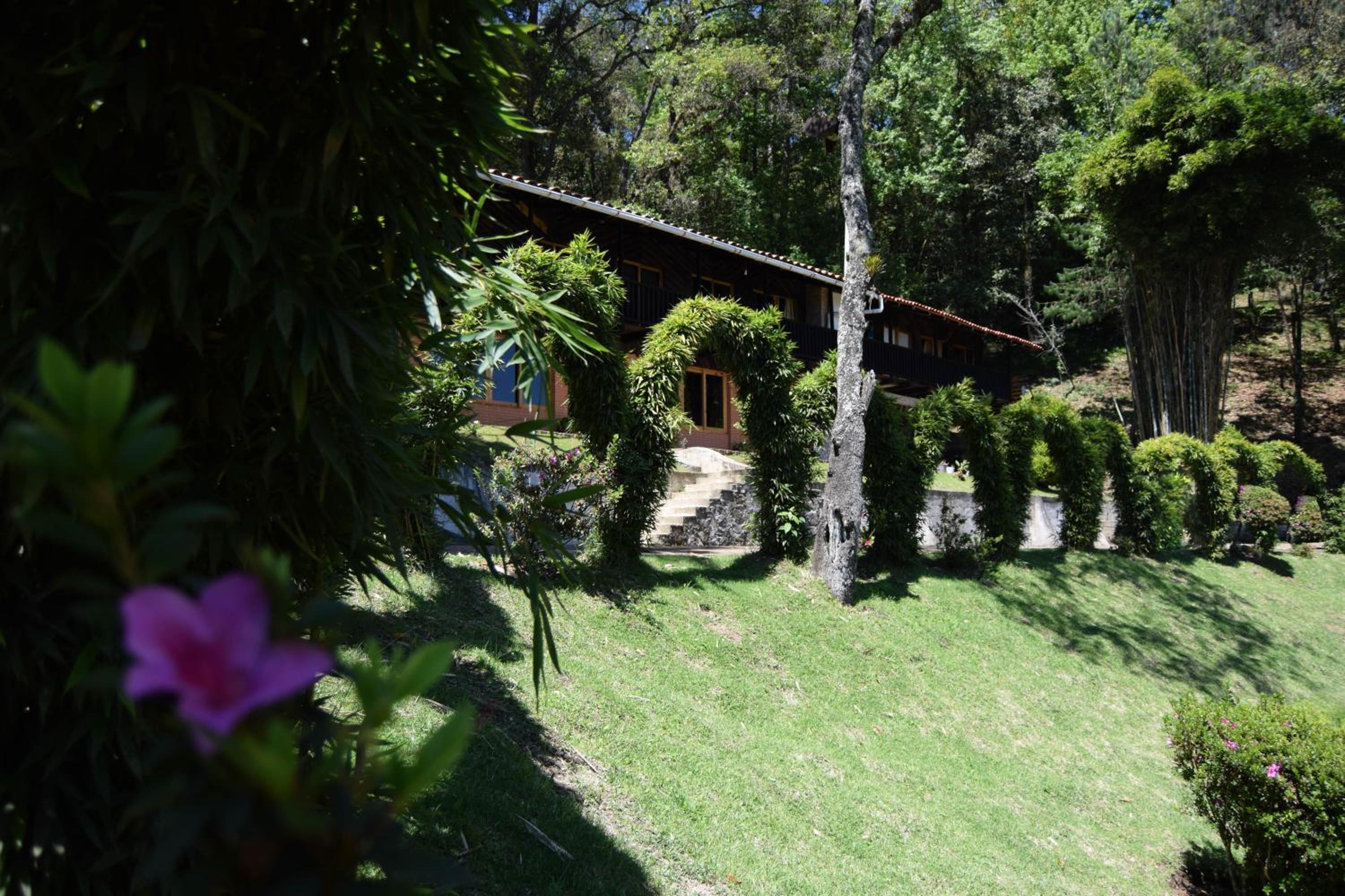 Campestre DAARLU