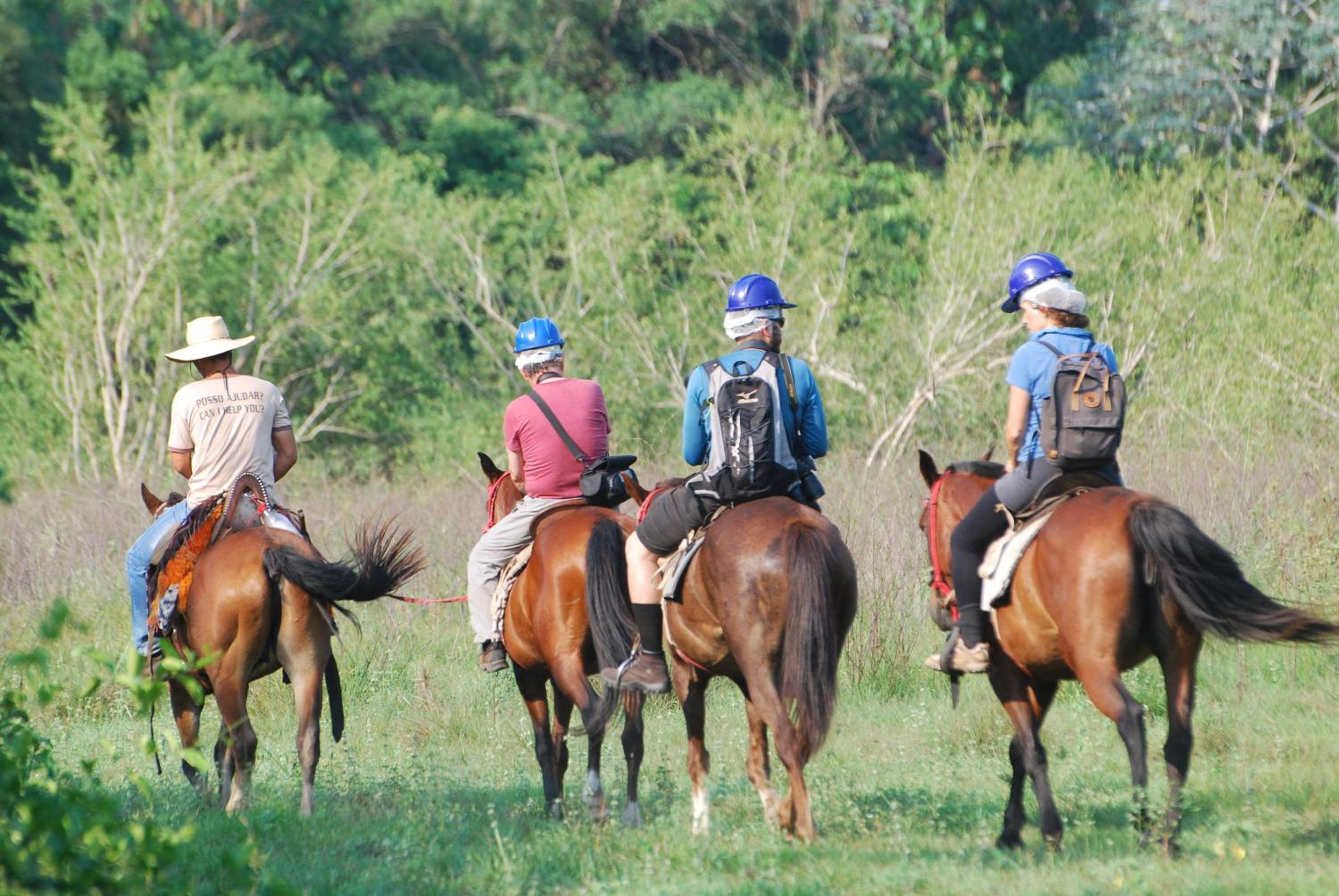 Hostel Camping Road Park Pantanal Sul