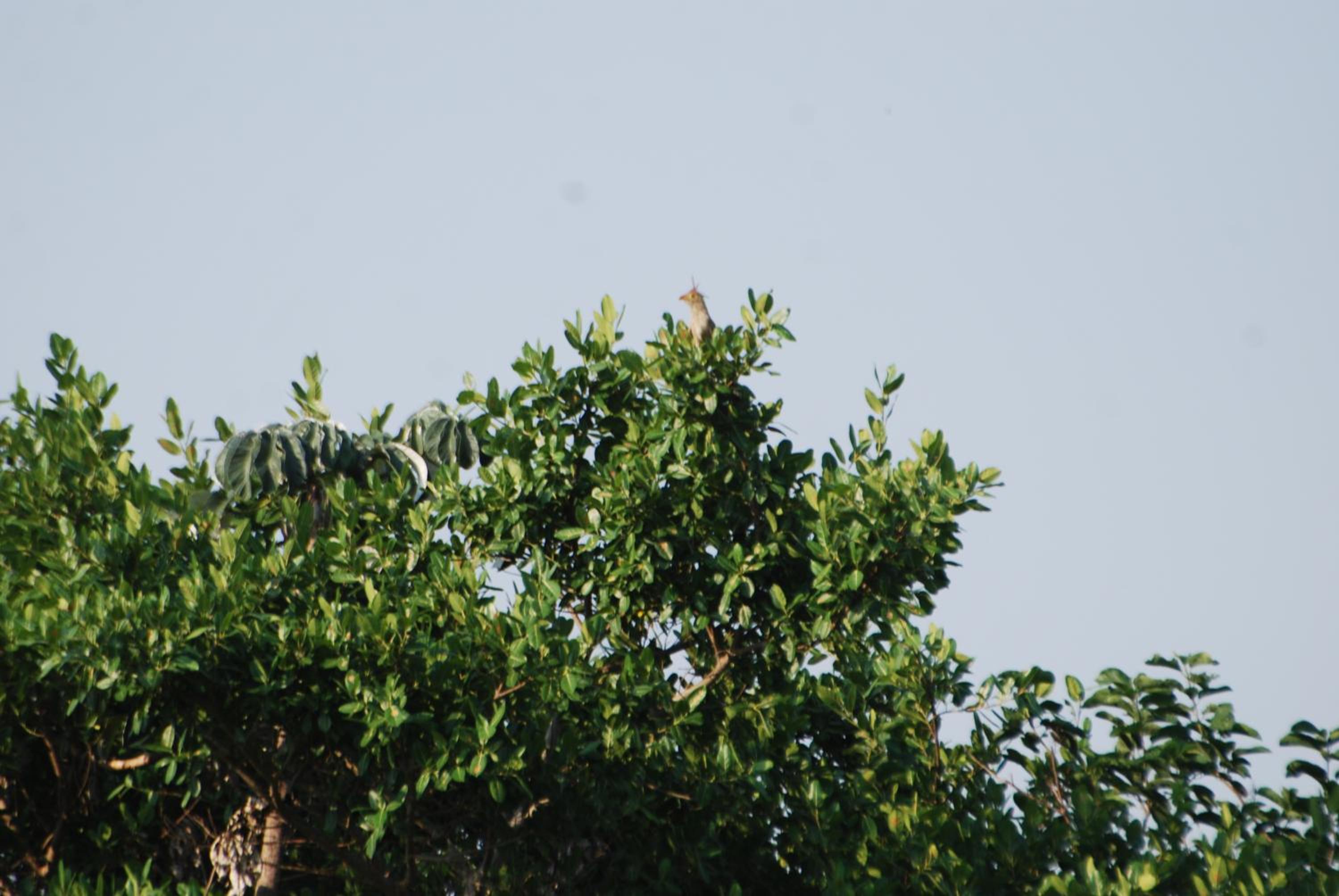 Hostel Camping Road Park Pantanal Sul