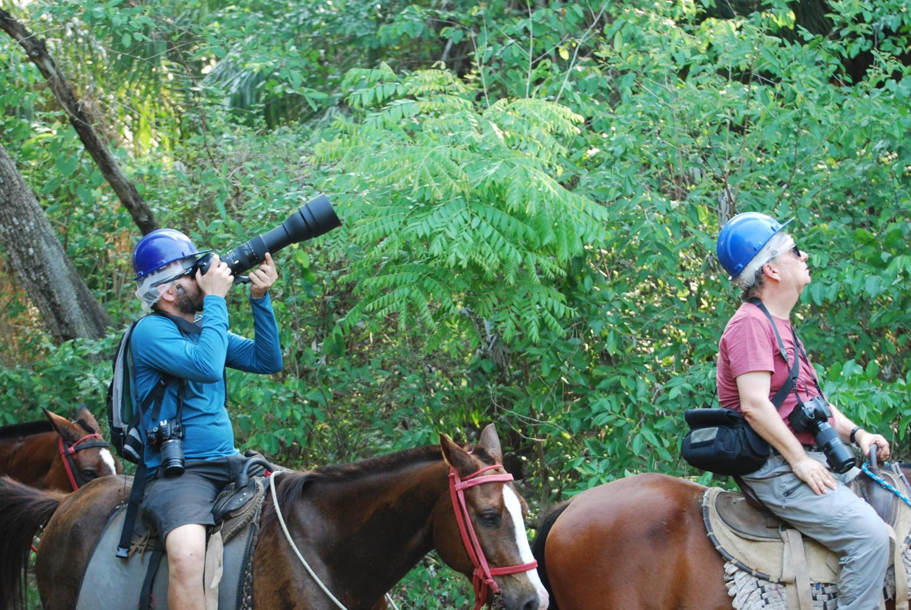 Hostel Camping Road Park Pantanal Sul