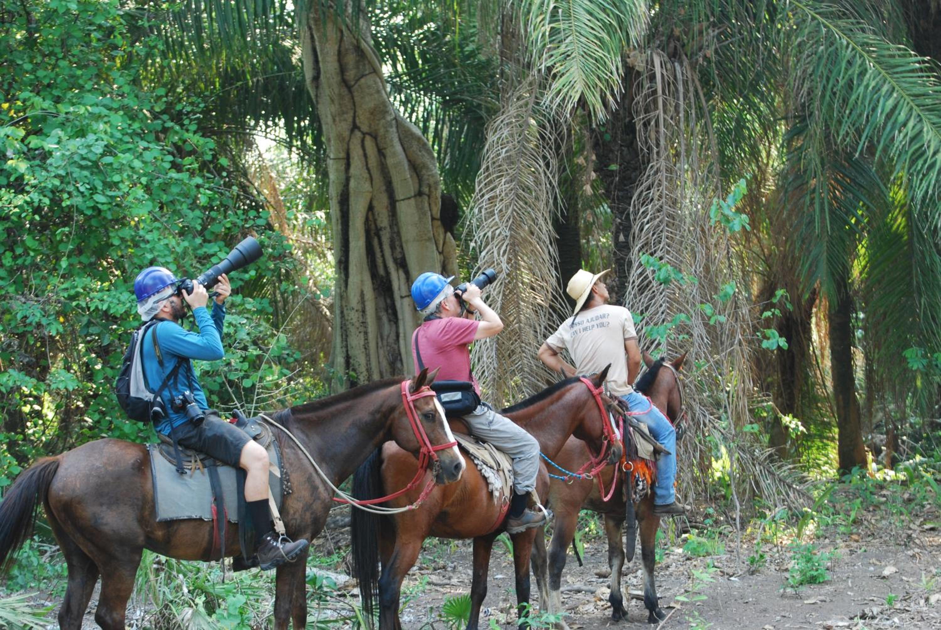 Hostel Camping Road Park Pantanal Sul
