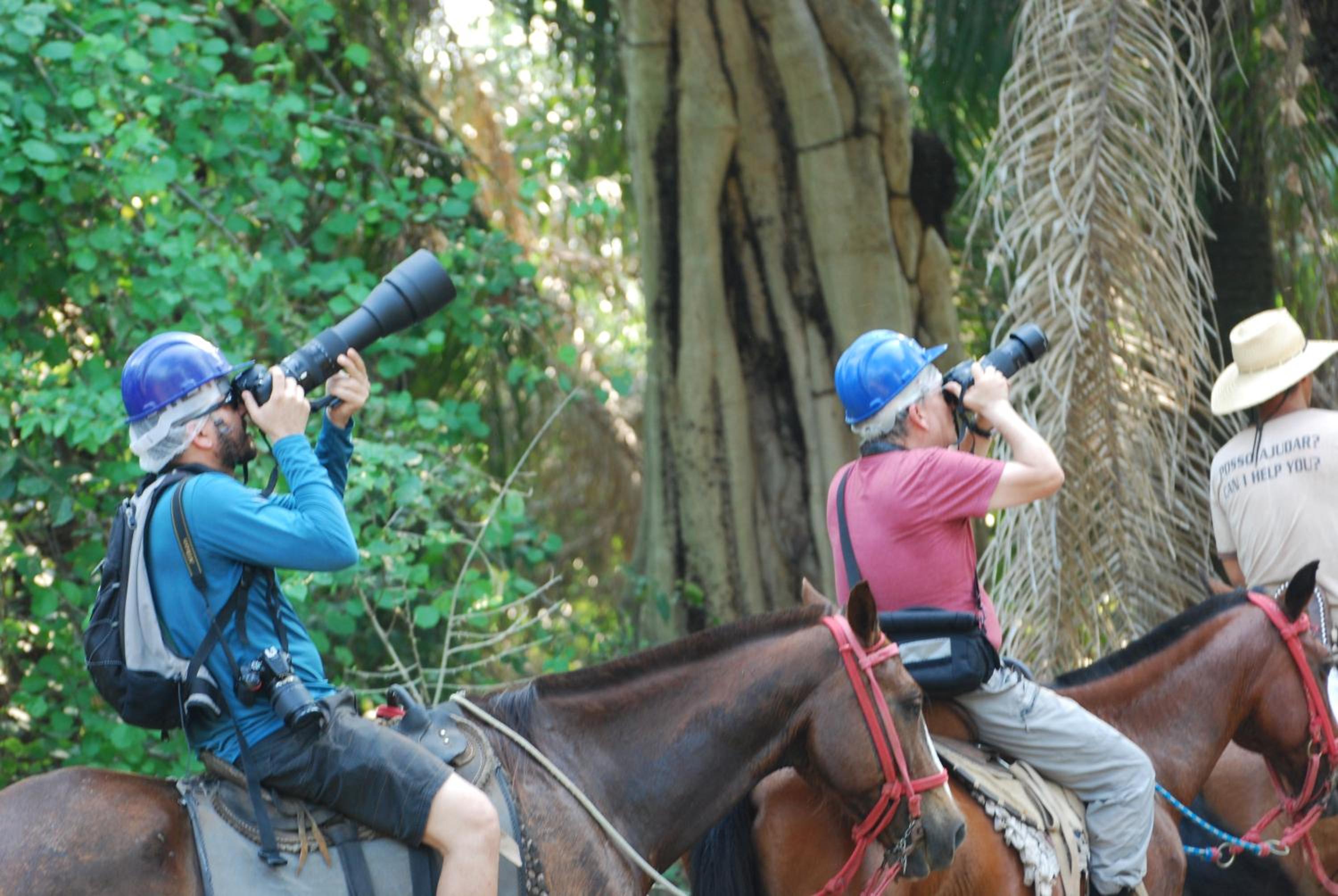 Hostel Camping Road Park Pantanal Sul