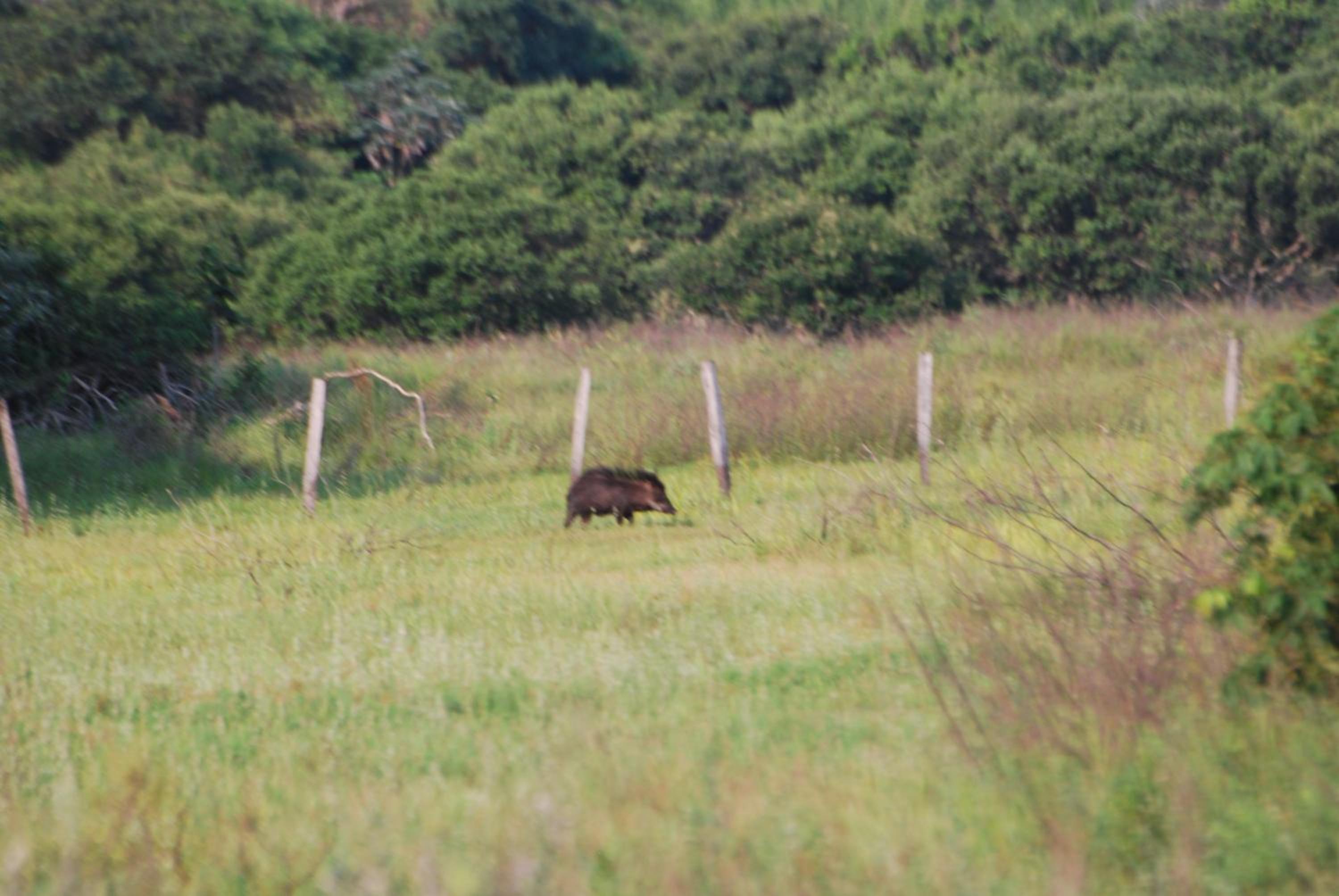 Hostel Camping Road Park Pantanal Sul