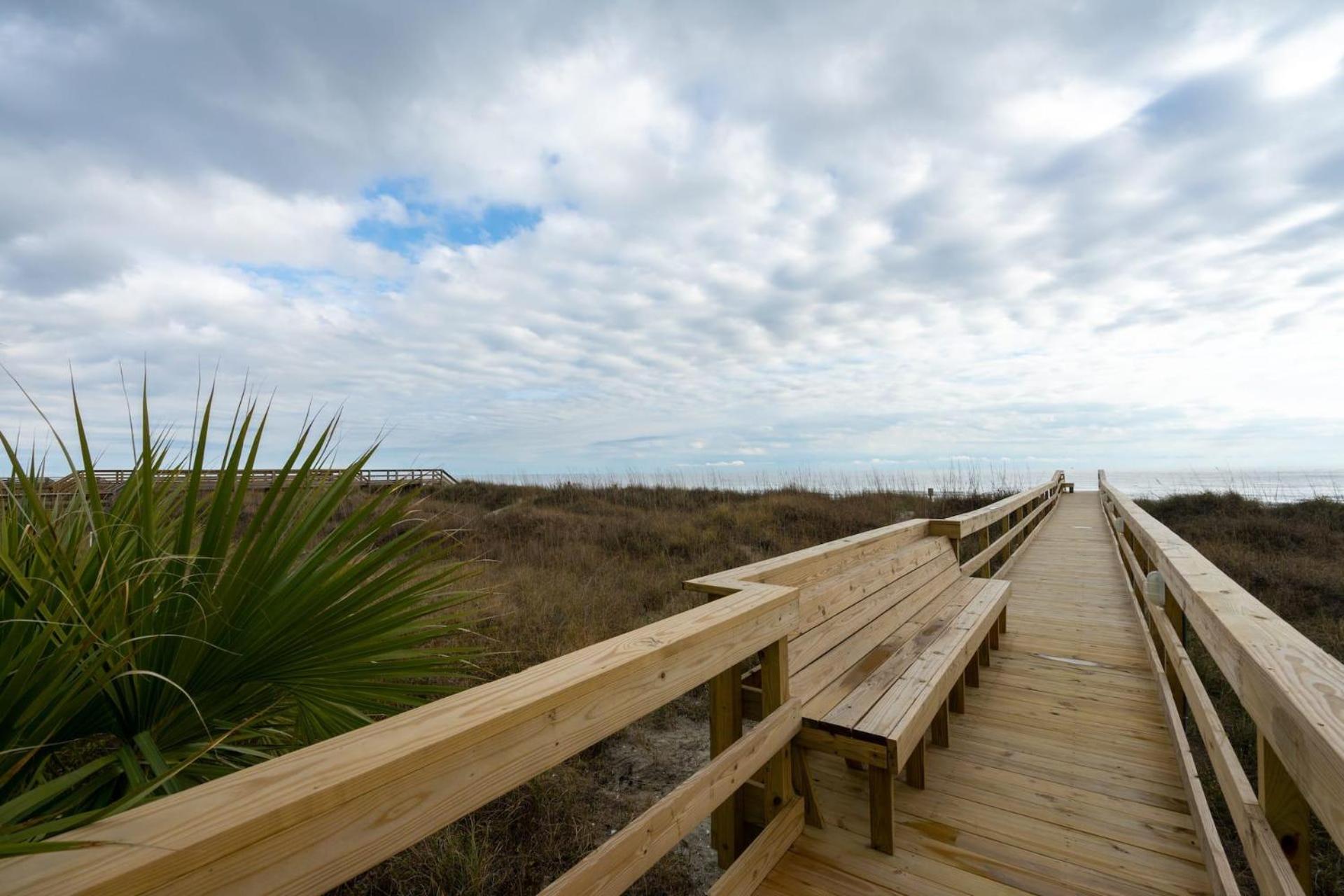 Atlantic Dunes - 101